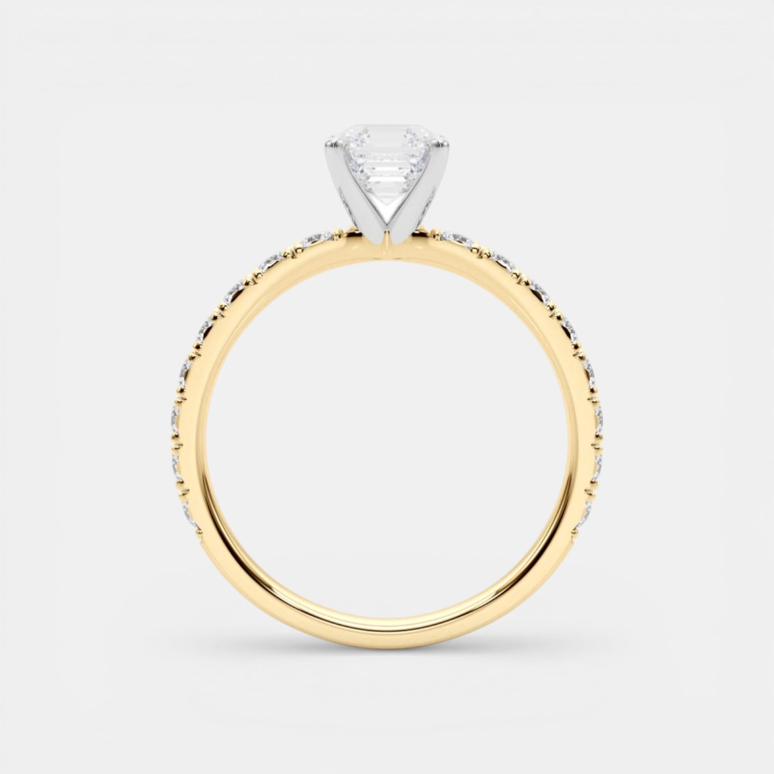 The MANHATTAN Ring