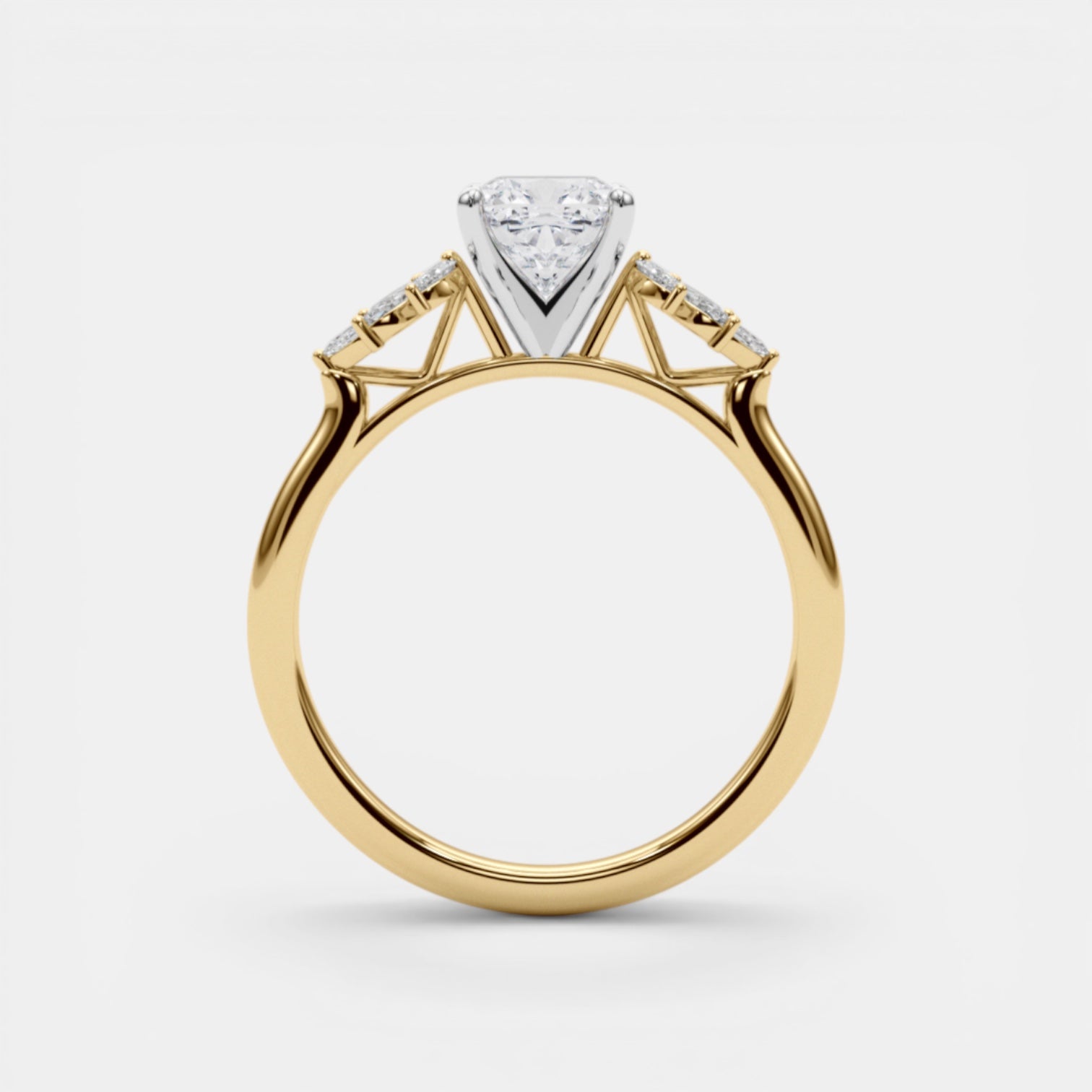 The HEMERA Ring