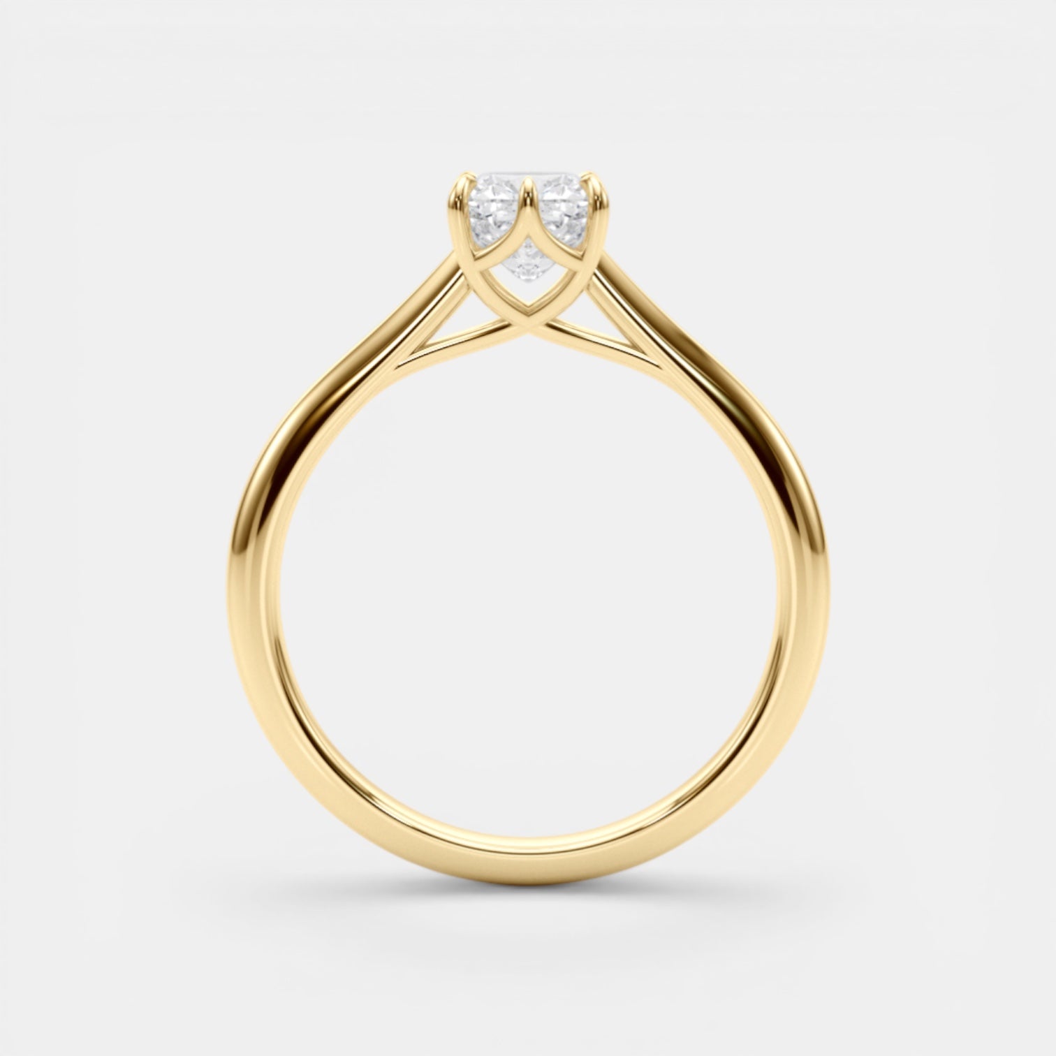 The TRIXIE Ring