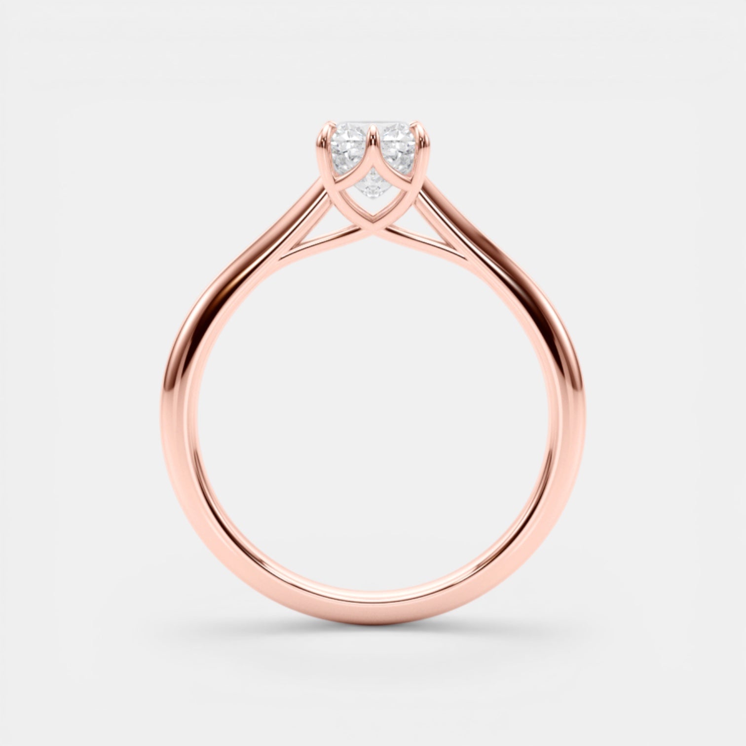 The TRIXIE Ring