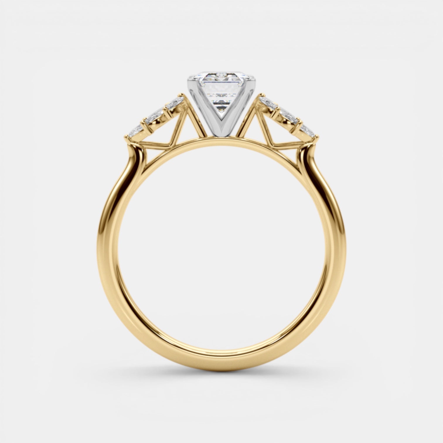 The HEMERA Ring