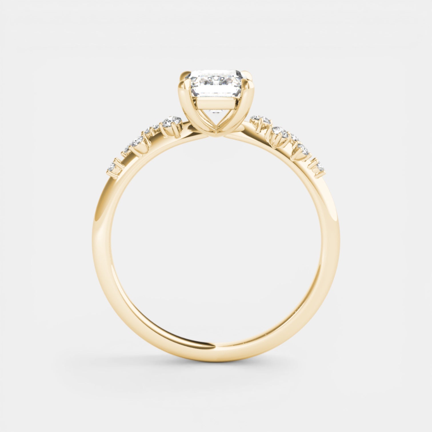 The ARIEL Ring