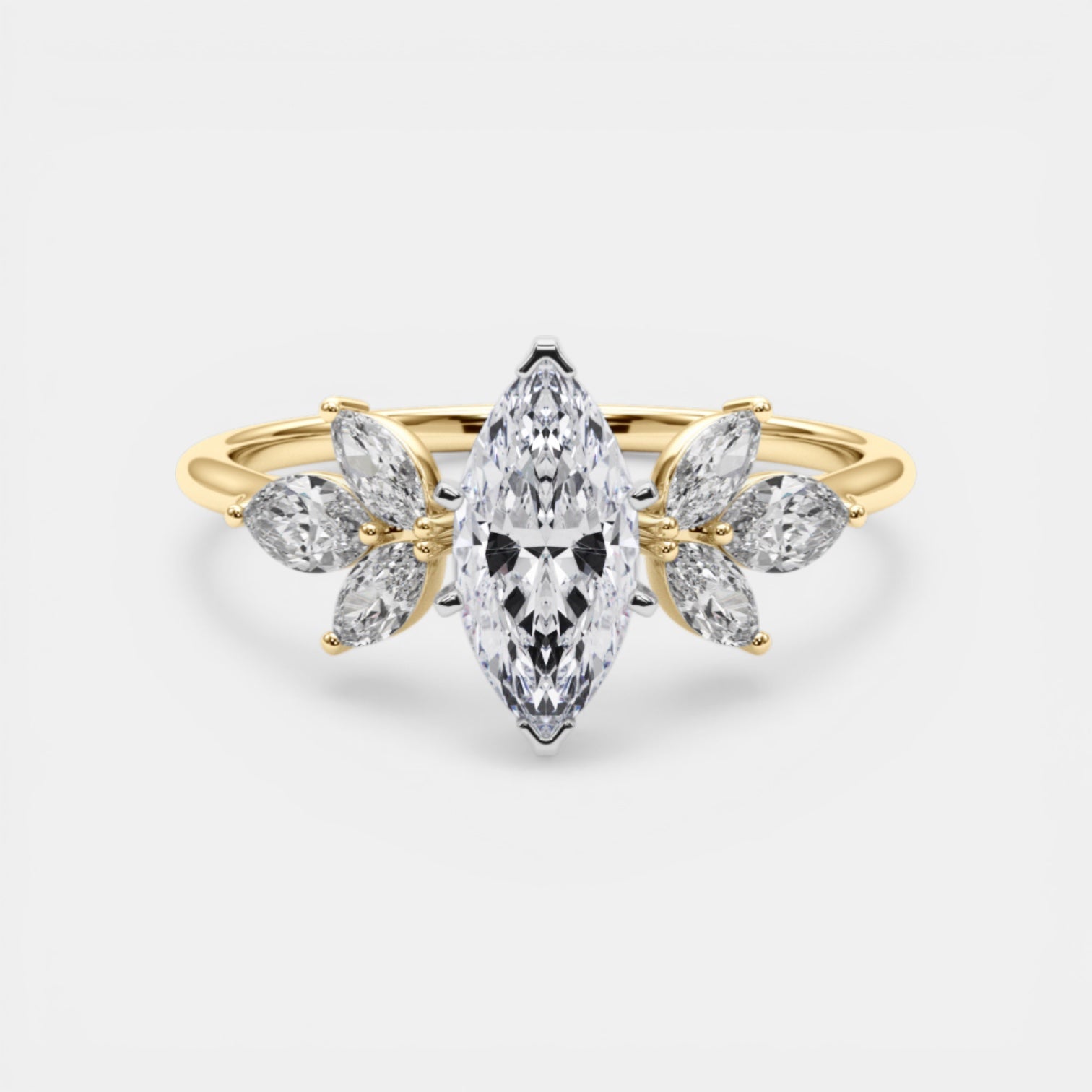 The ELECTRA Ring