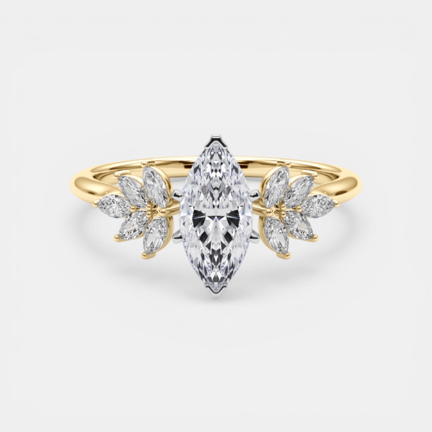 The HEMERA Ring