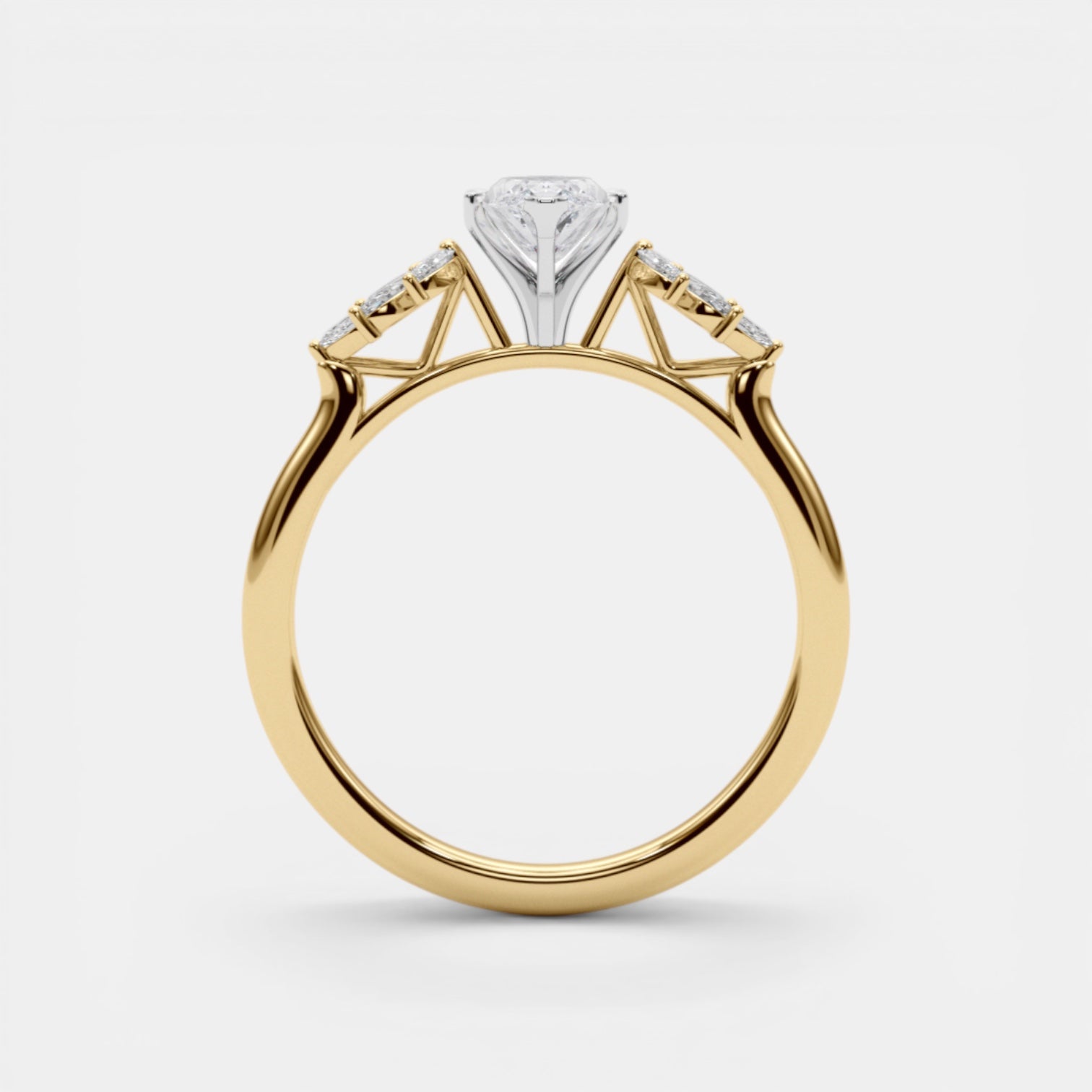 The HEMERA Ring