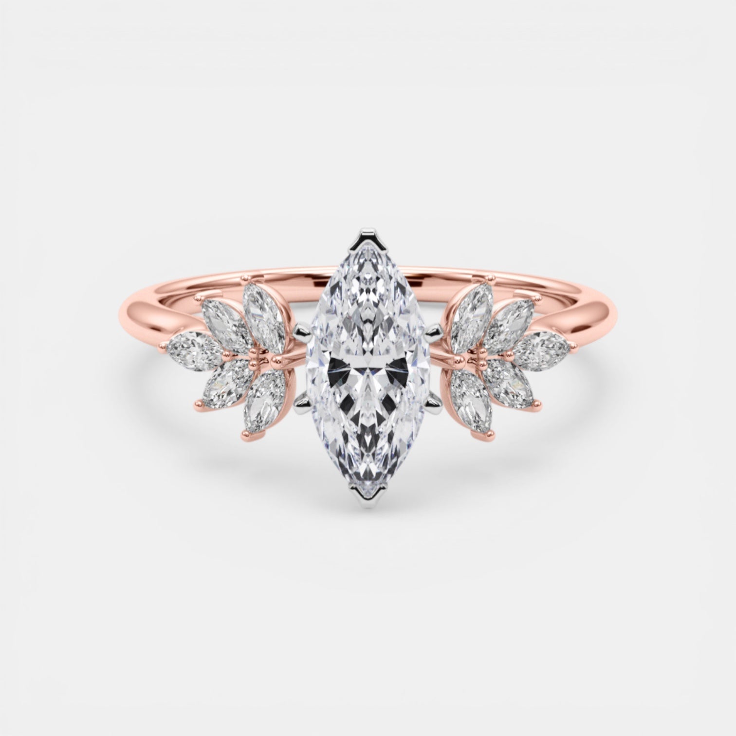 The HEMERA Ring