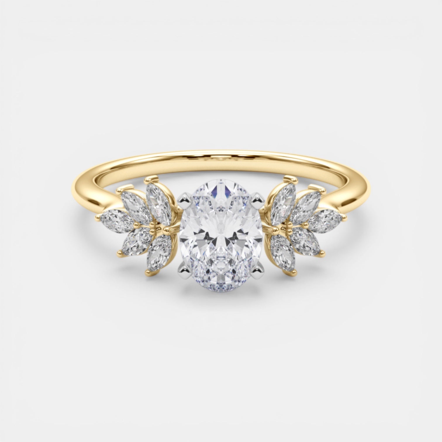 The HEMERA Ring