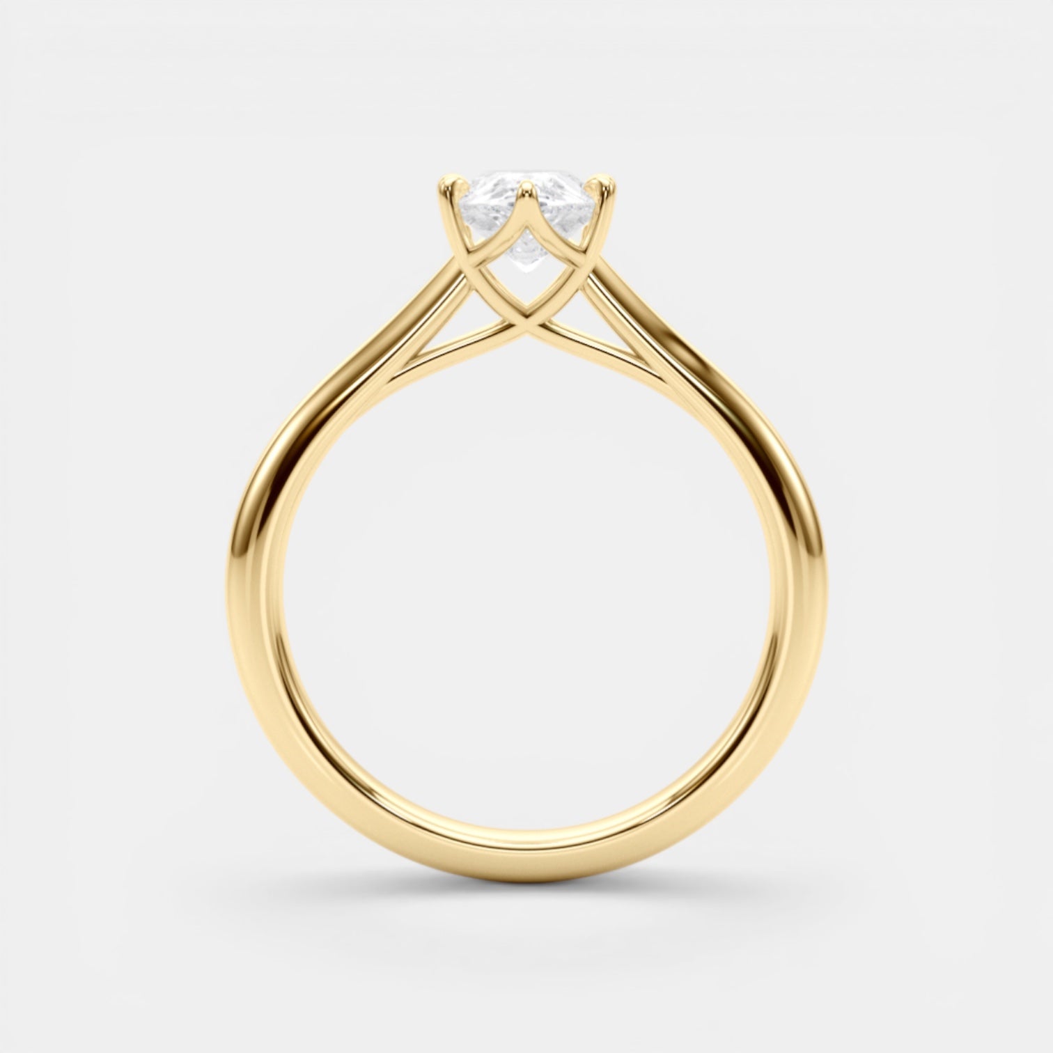 The TRIXIE Ring
