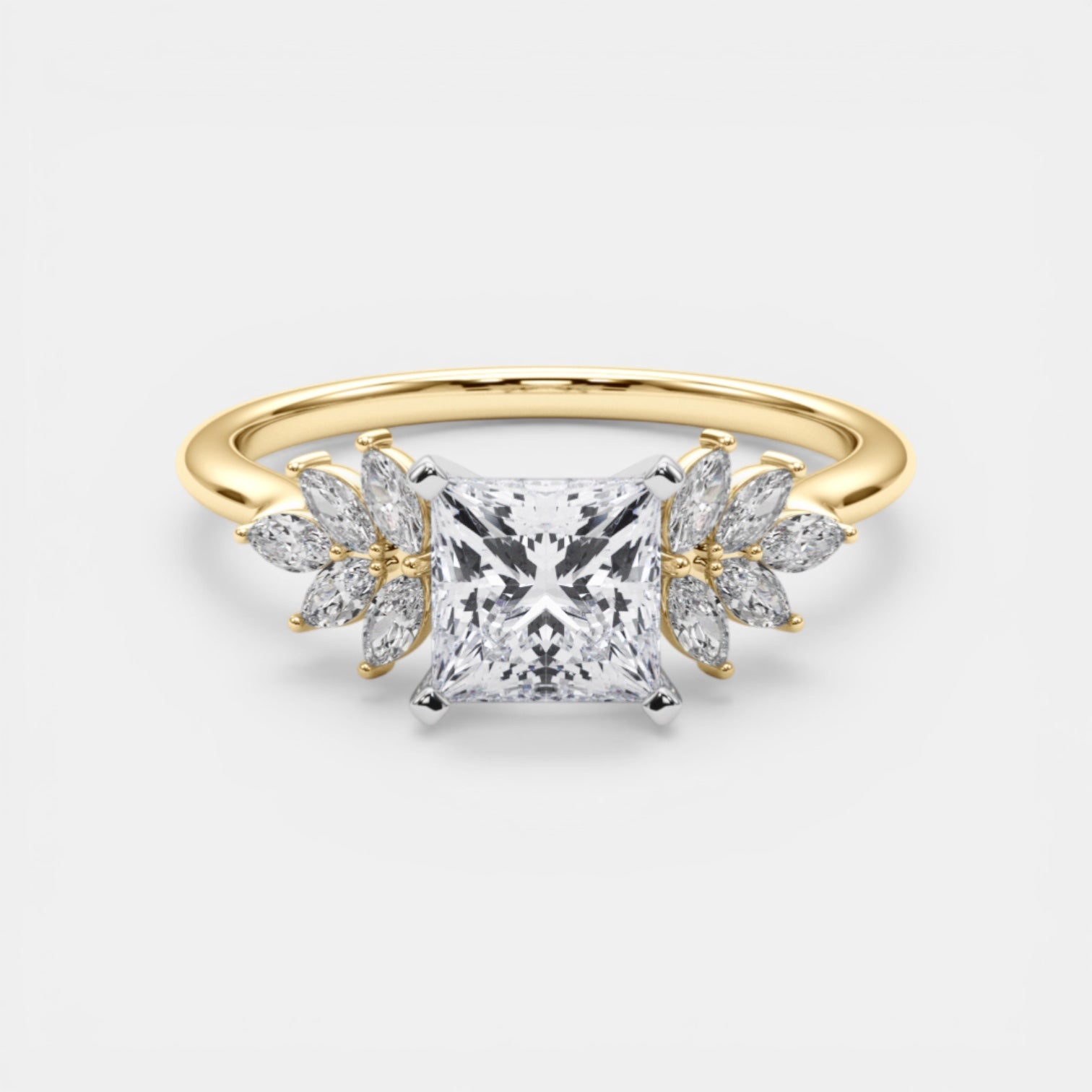 The HEMERA Ring