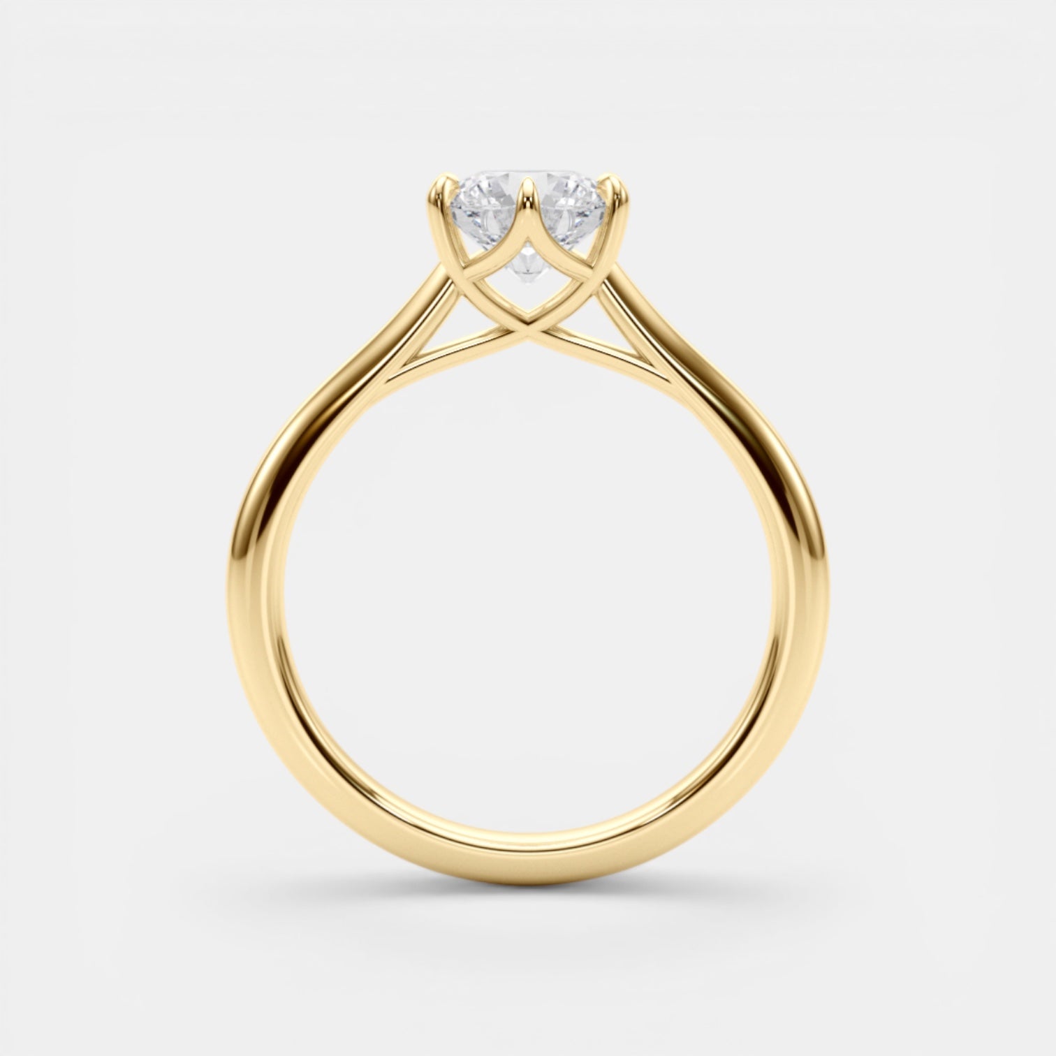 The TRIXIE Ring