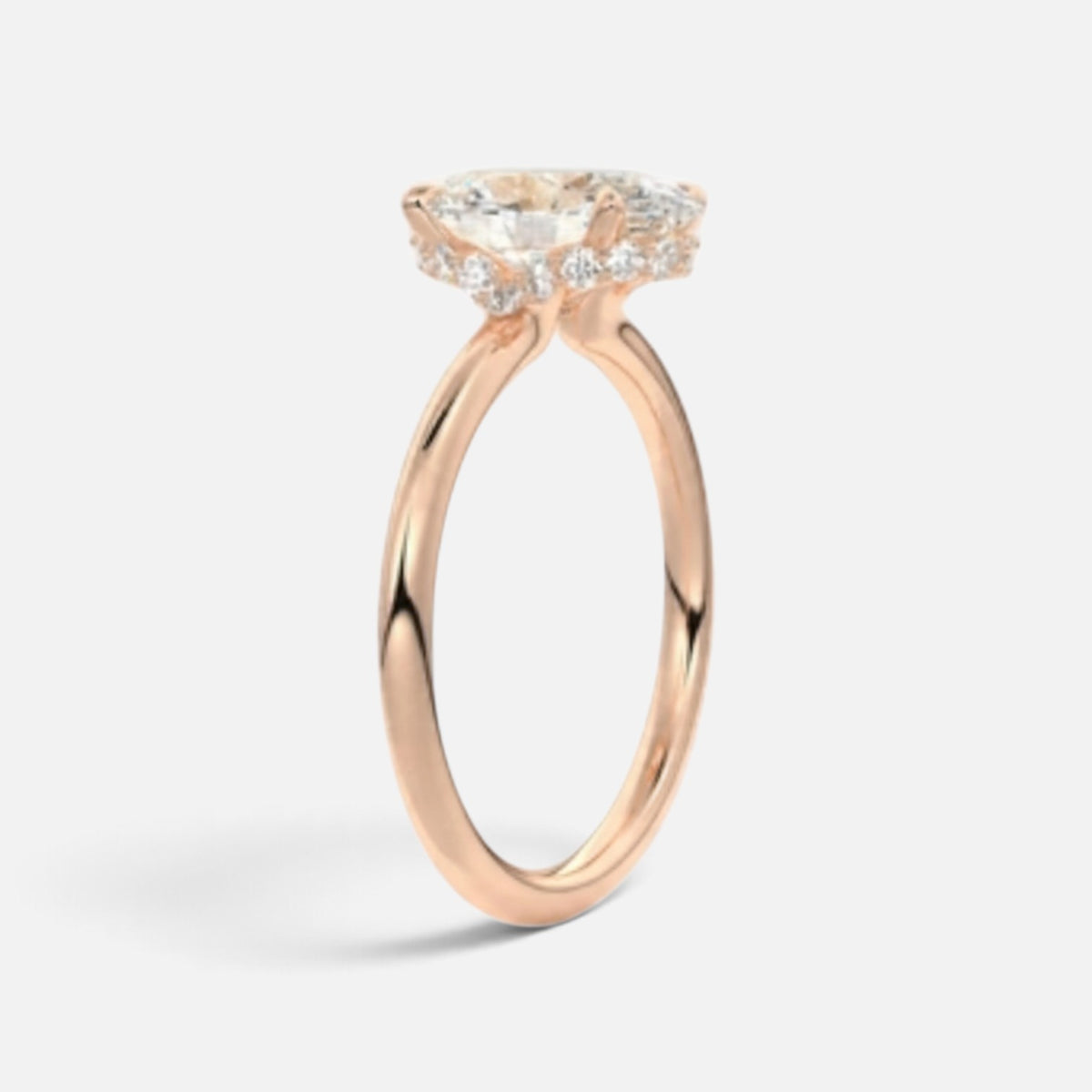 The ROSALIE Ring