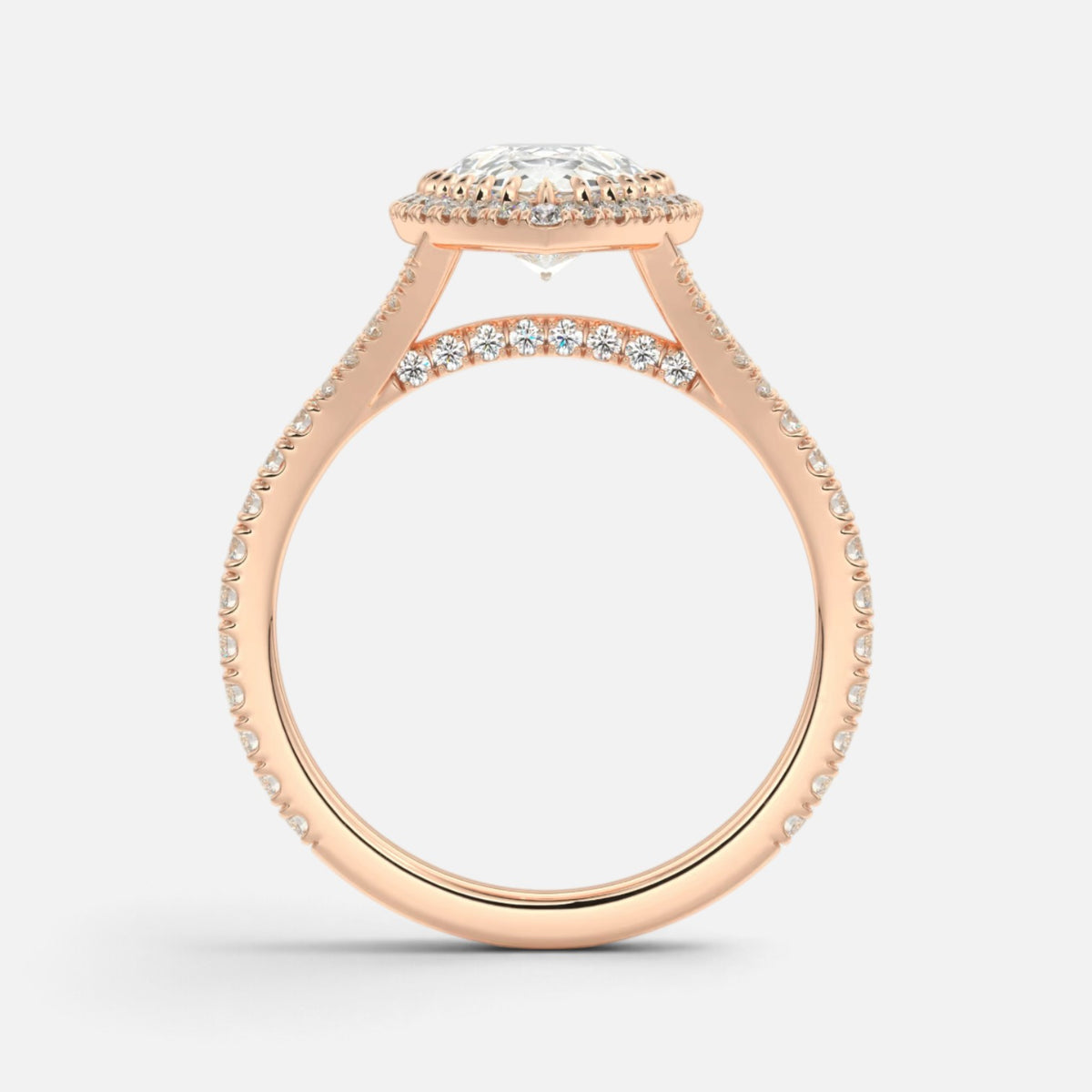 The ELMA Ring
