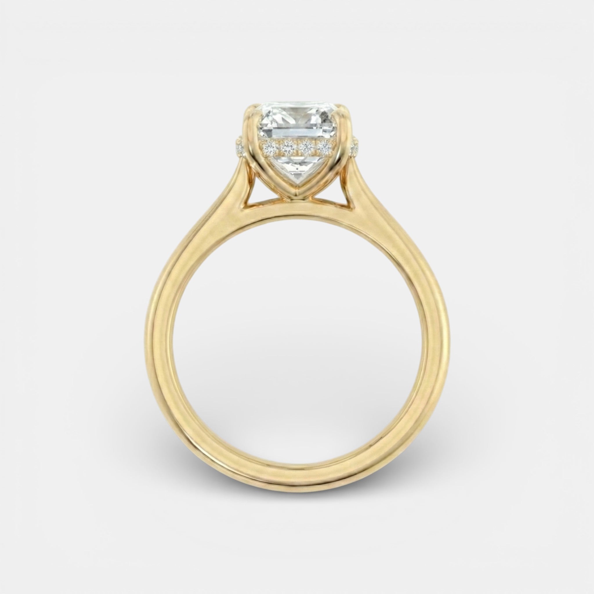 the NAOMI Ring