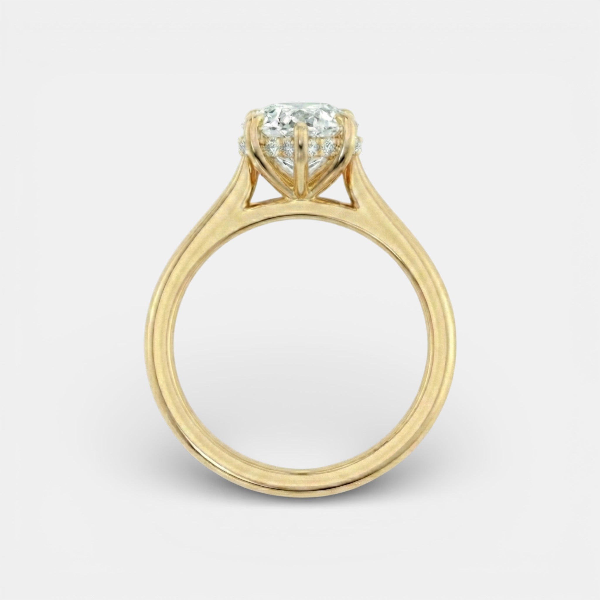 the NAOMI Ring