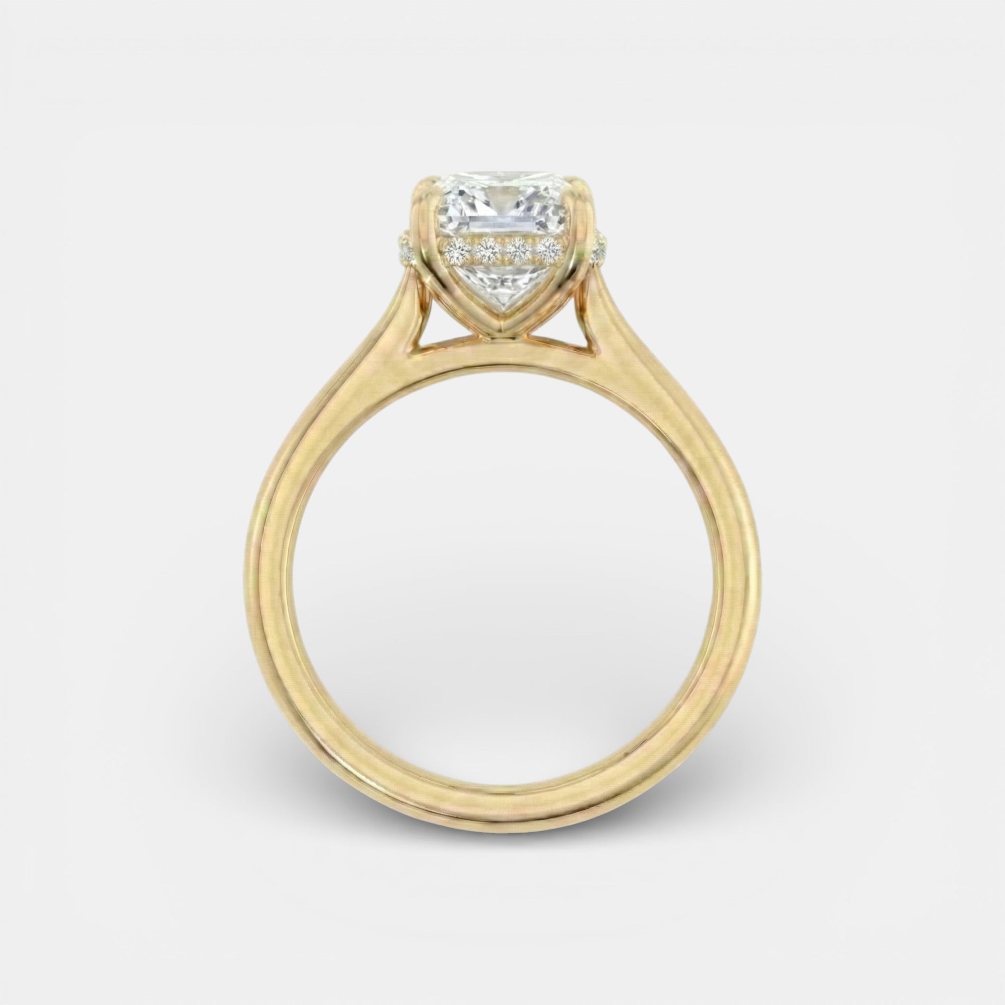 the NAOMI Ring