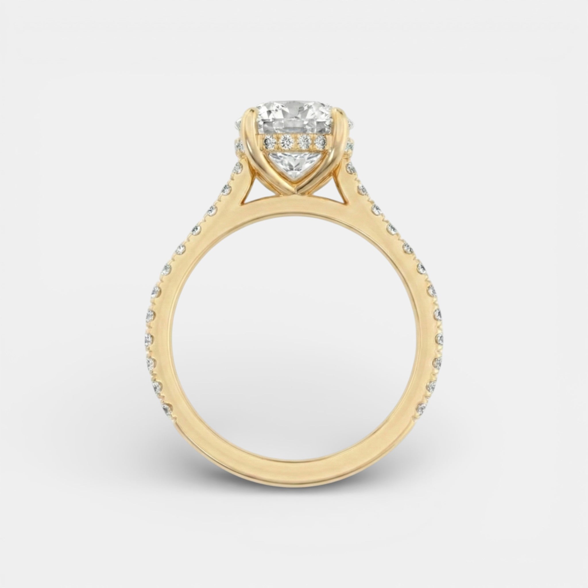the PARIS Ring