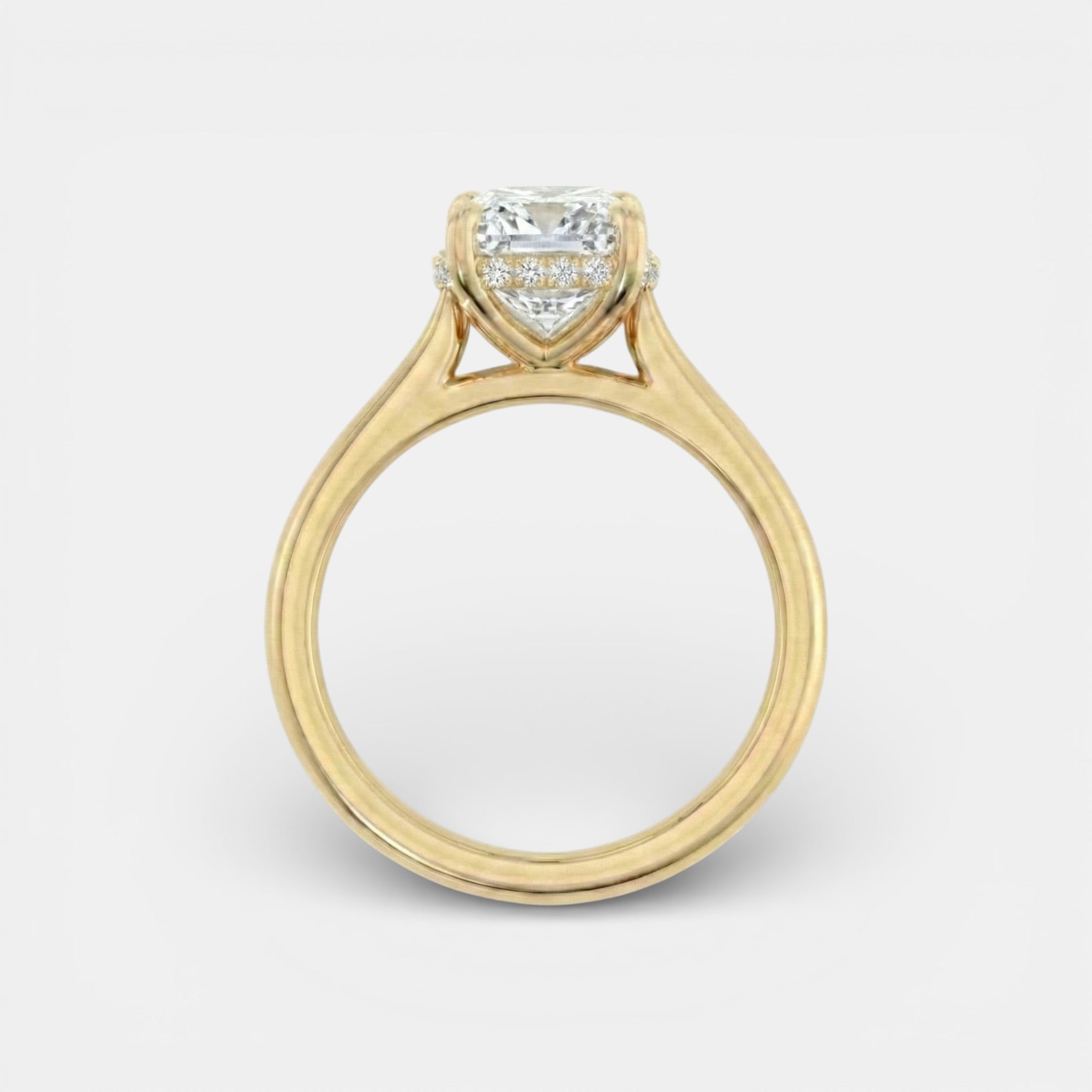 the NAOMI Ring