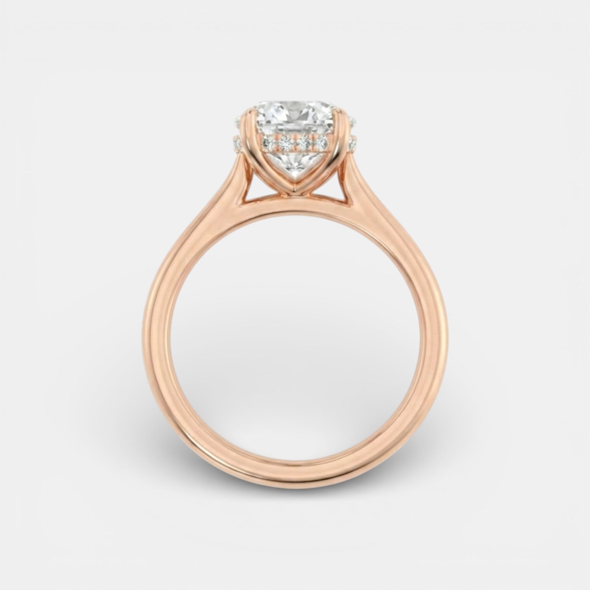 the NAOMI Ring