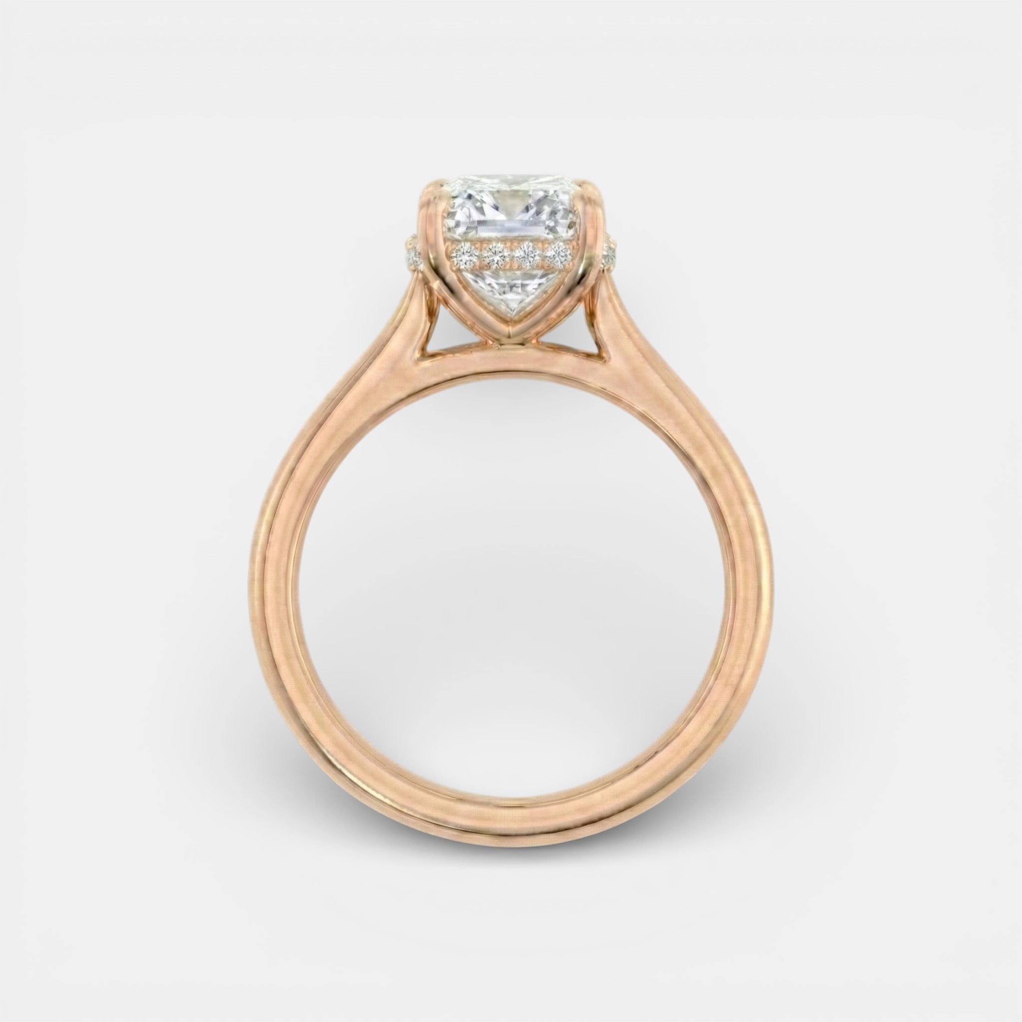 the NAOMI Ring
