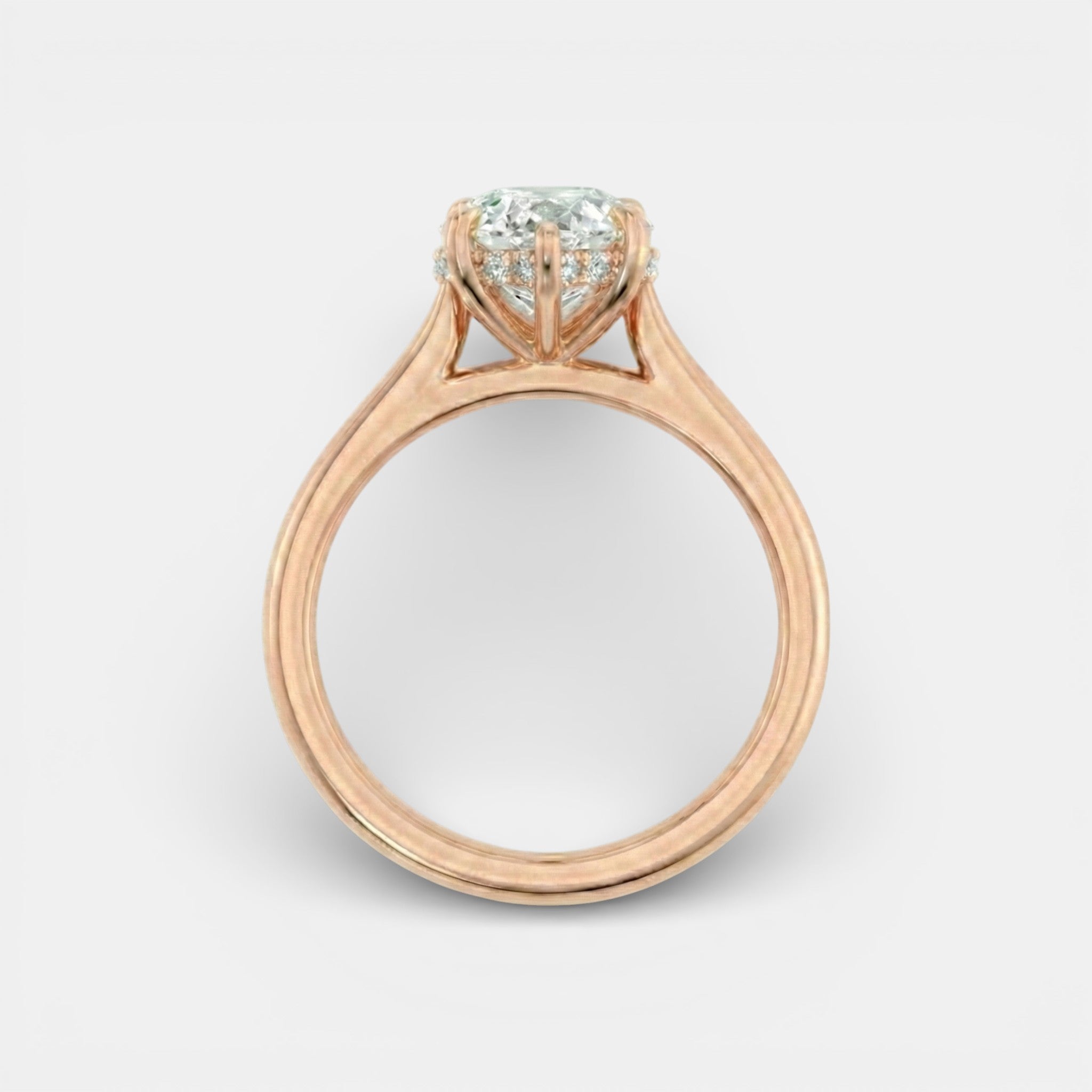 the NAOMI Ring