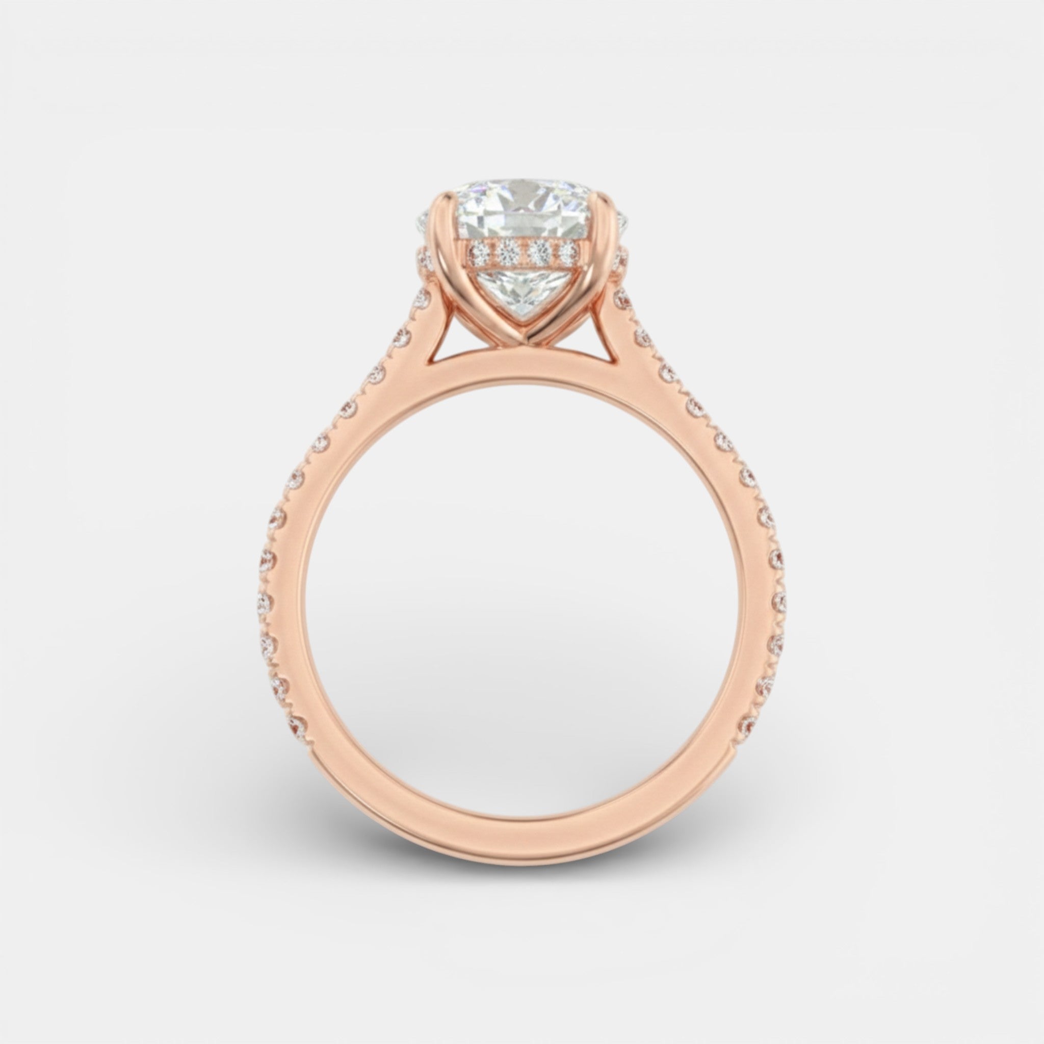 the PARIS Ring