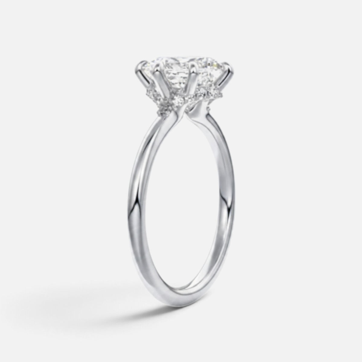 The ROSALIE Ring