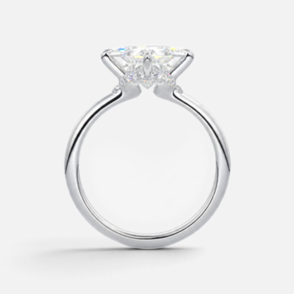 The ROSALIE Ring