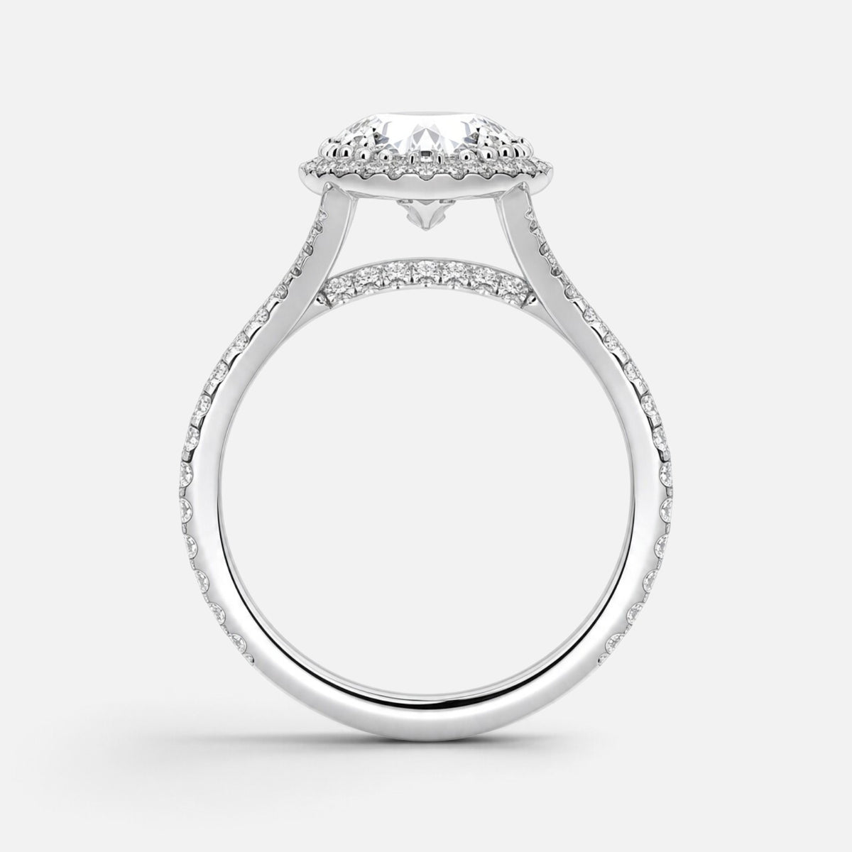 The ELMA Ring