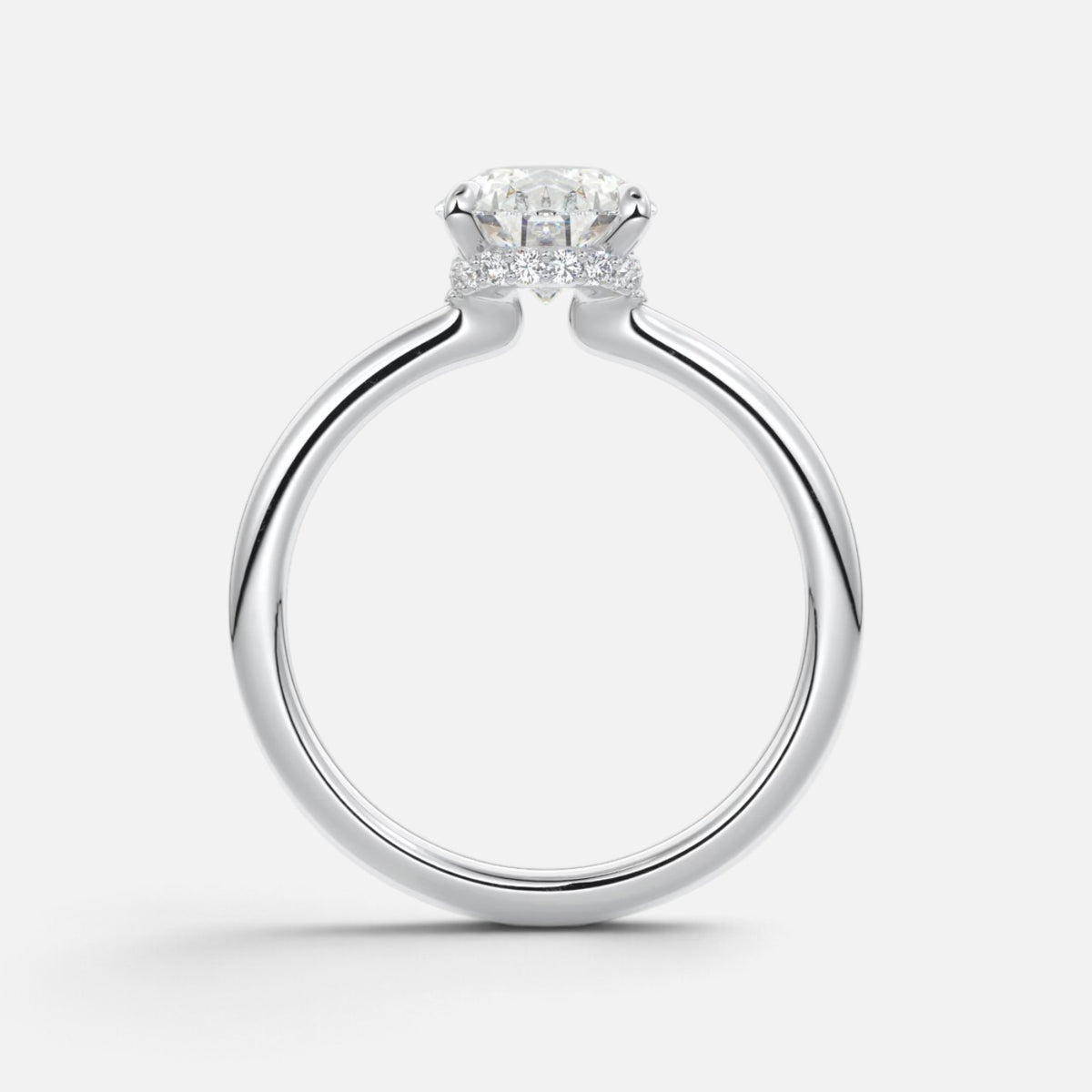 The ROSALIE Ring