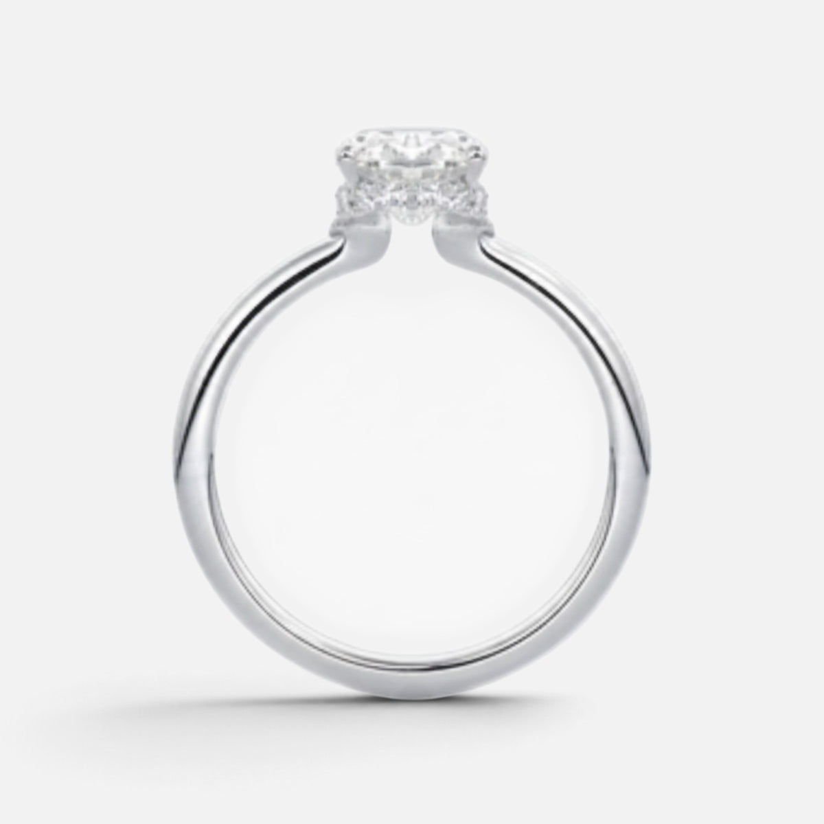 The ROSALIE Ring
