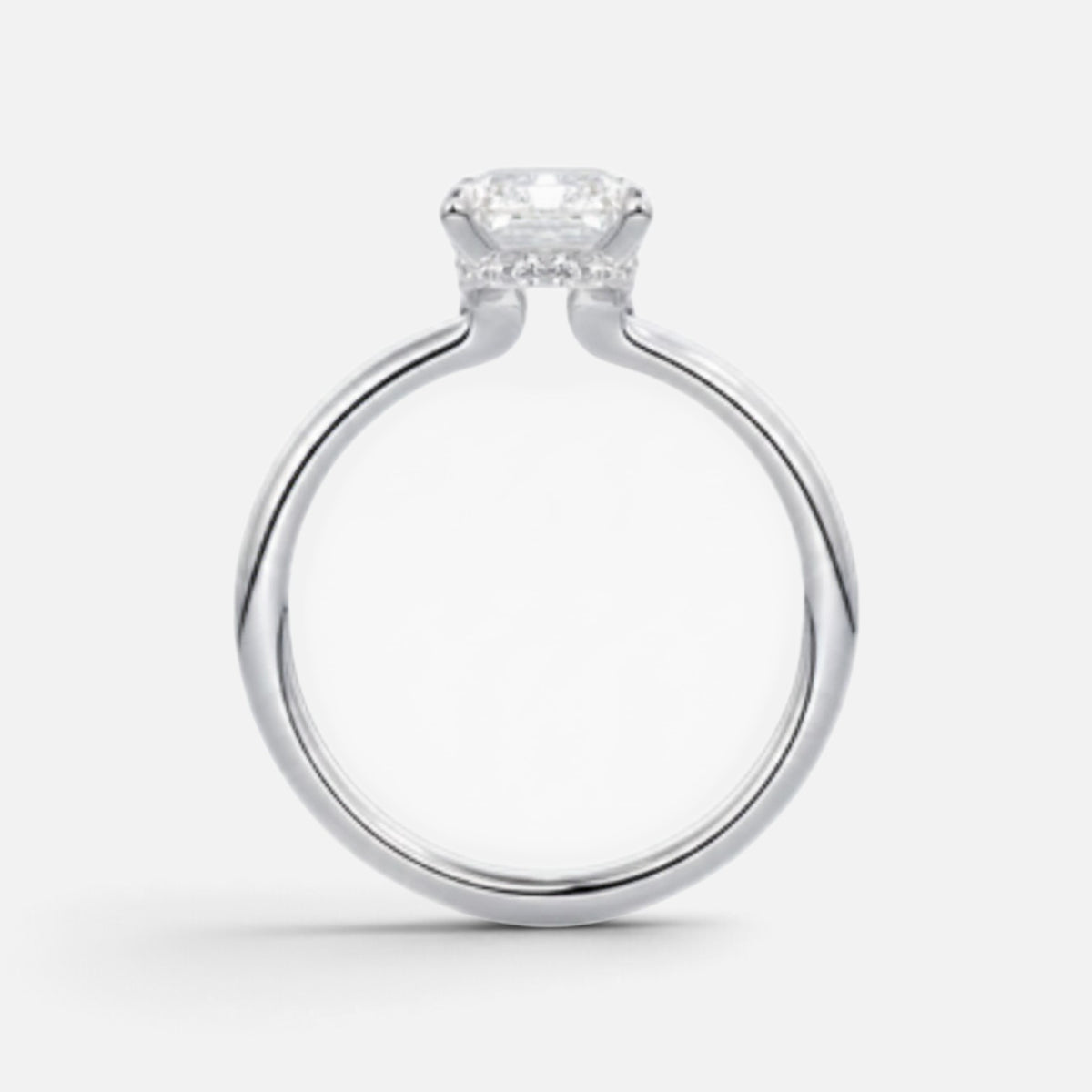 The ROSALIE Ring