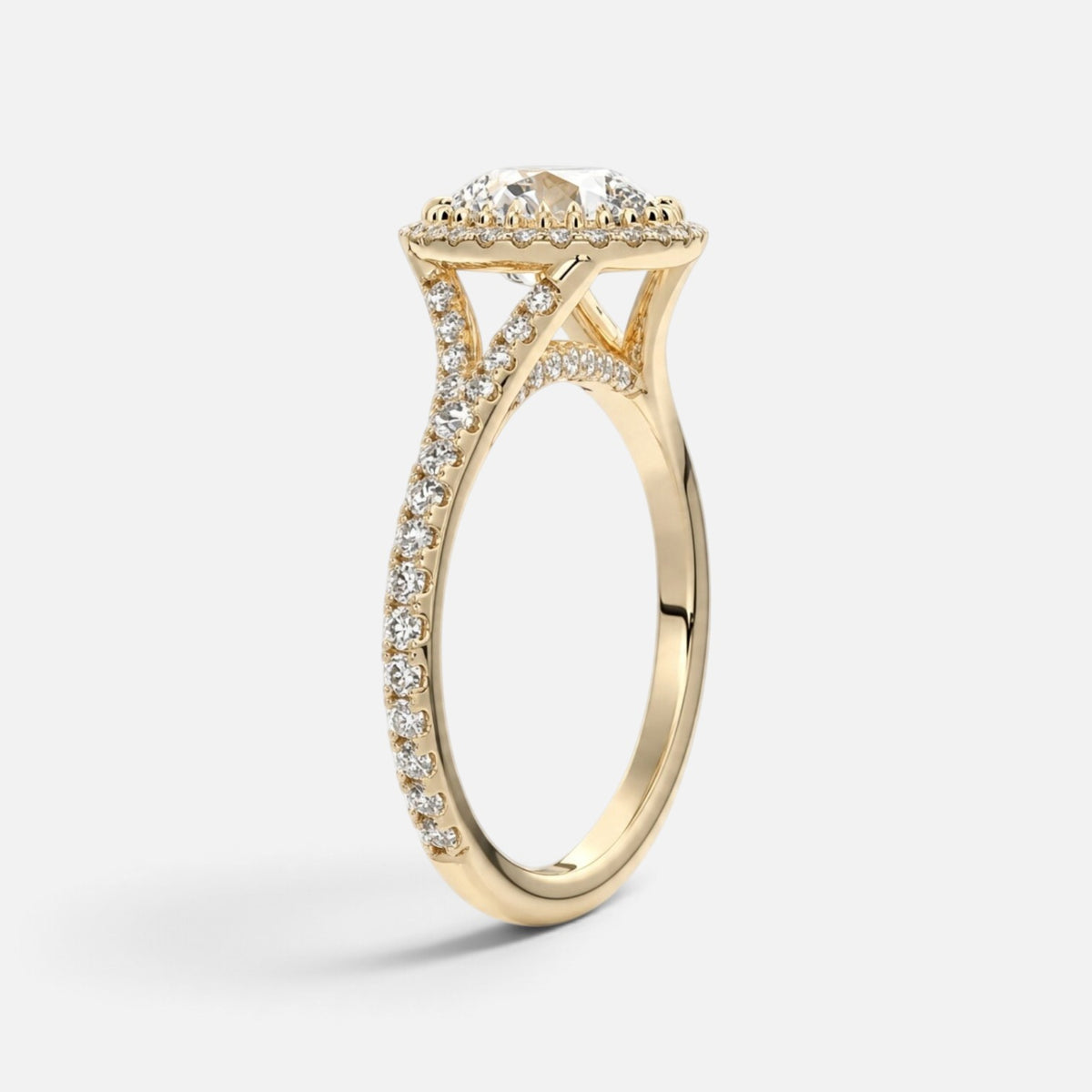 The ELMA Ring