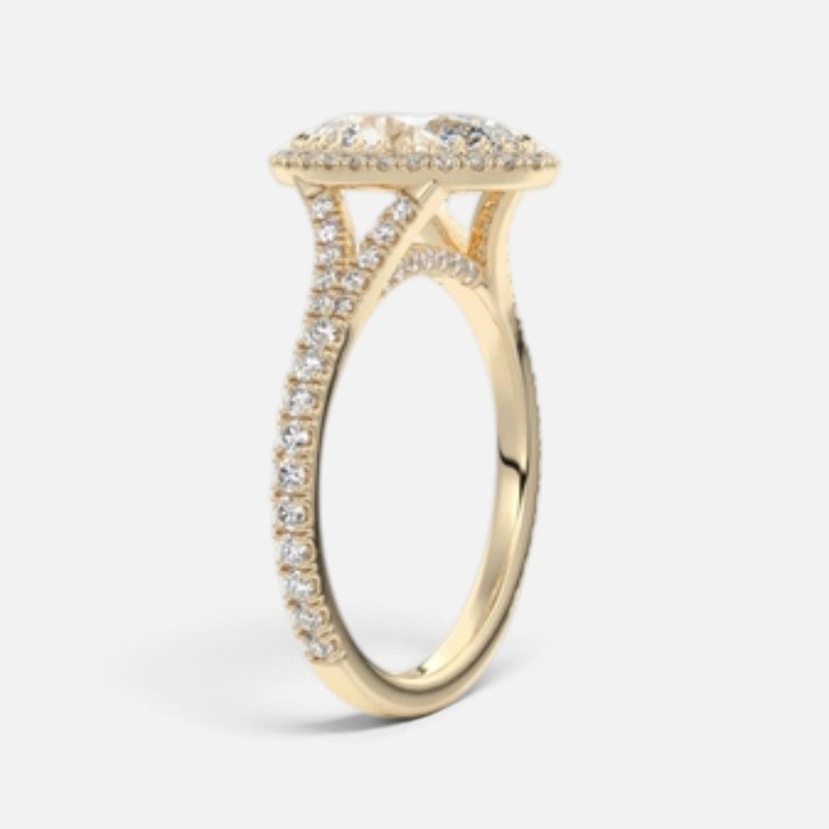 The ELMA Ring