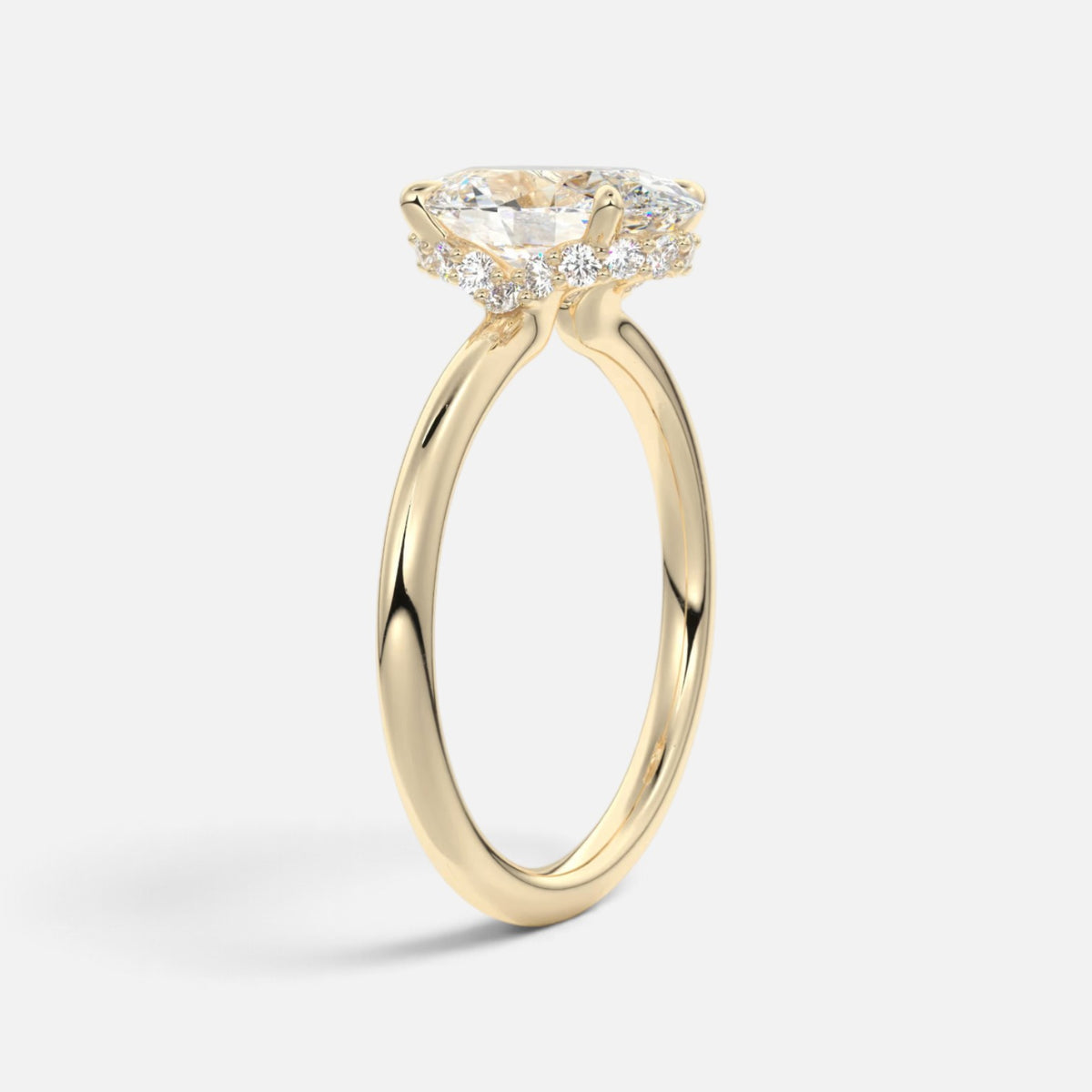 The ROSALIE Ring