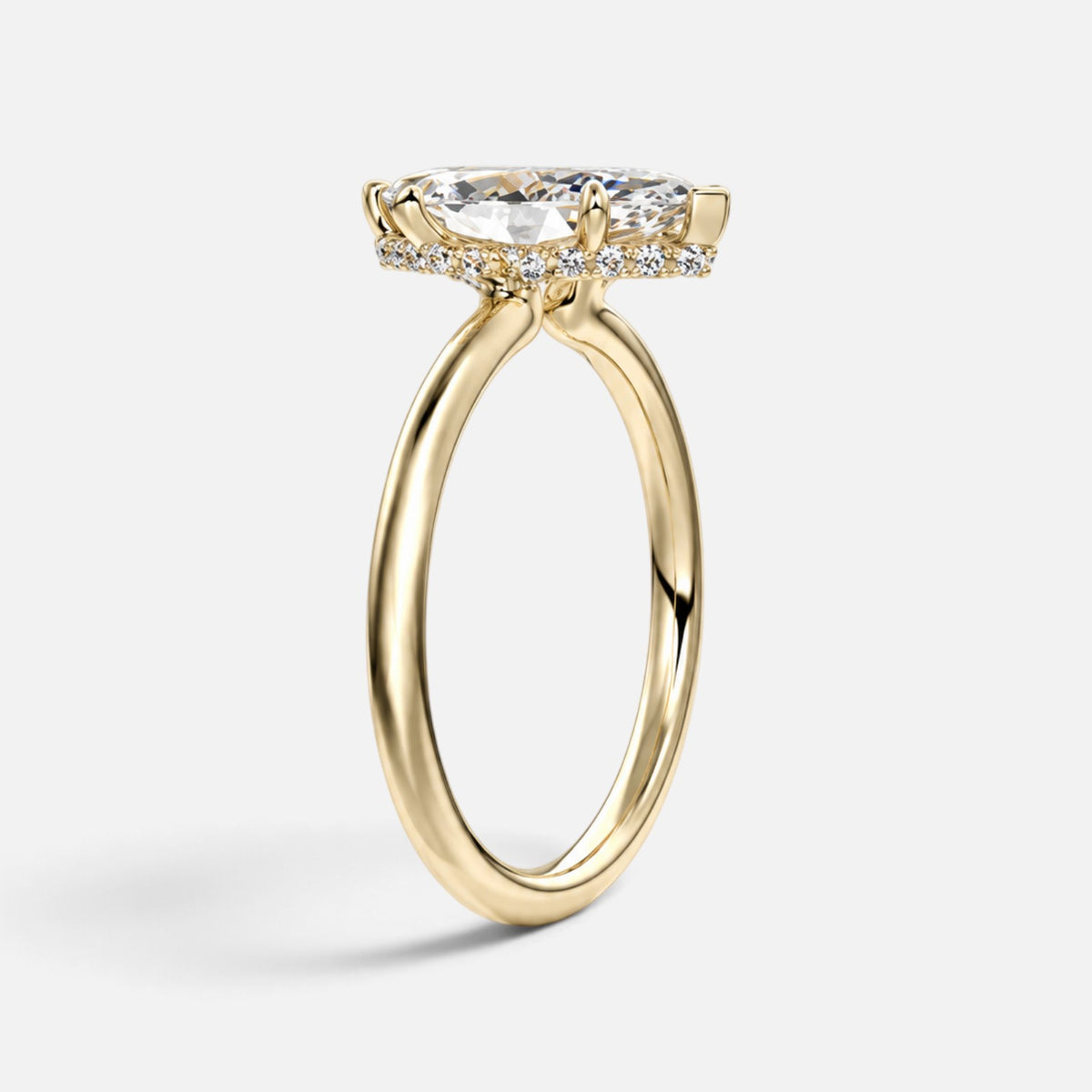 The ROSALIE Ring