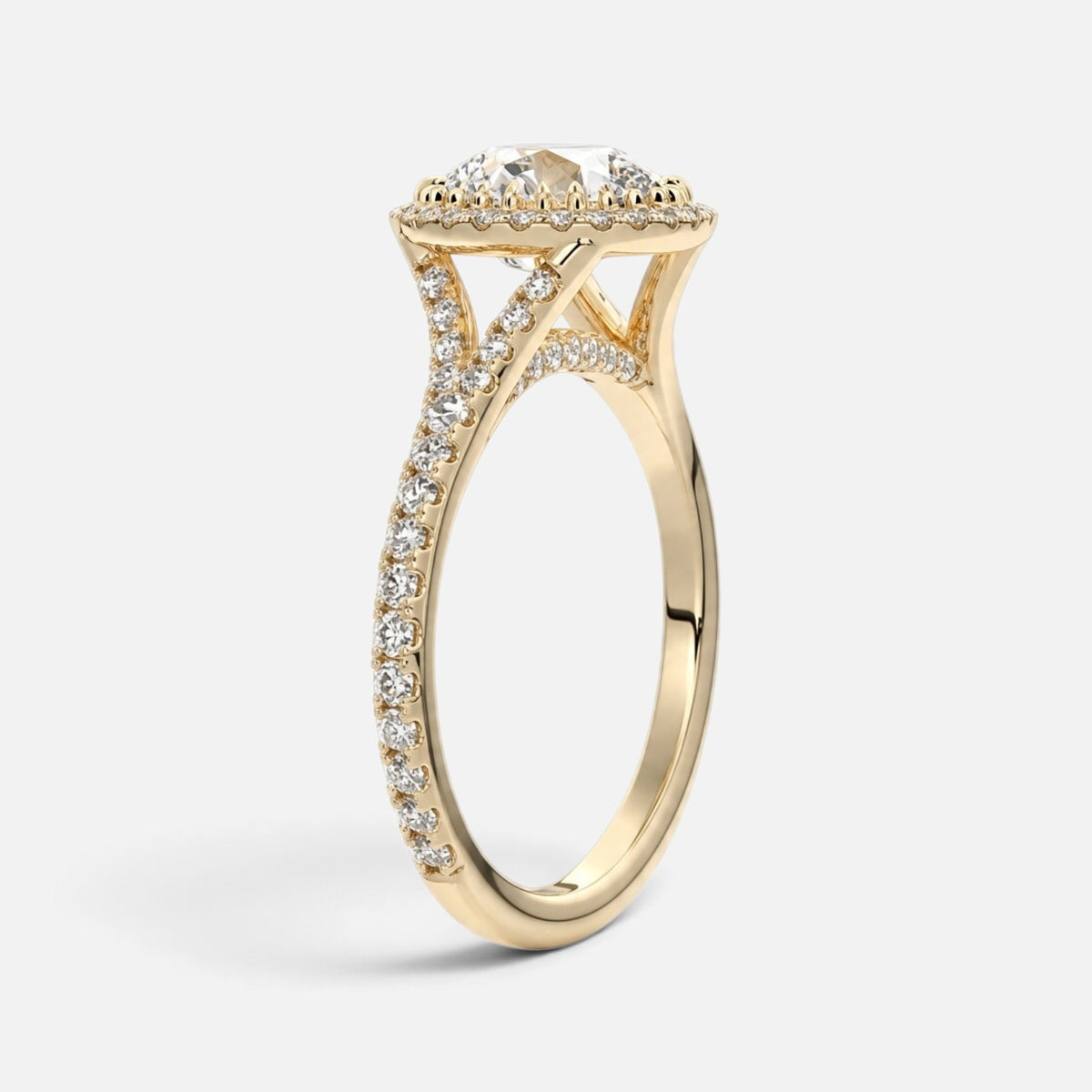 The ELMA Ring