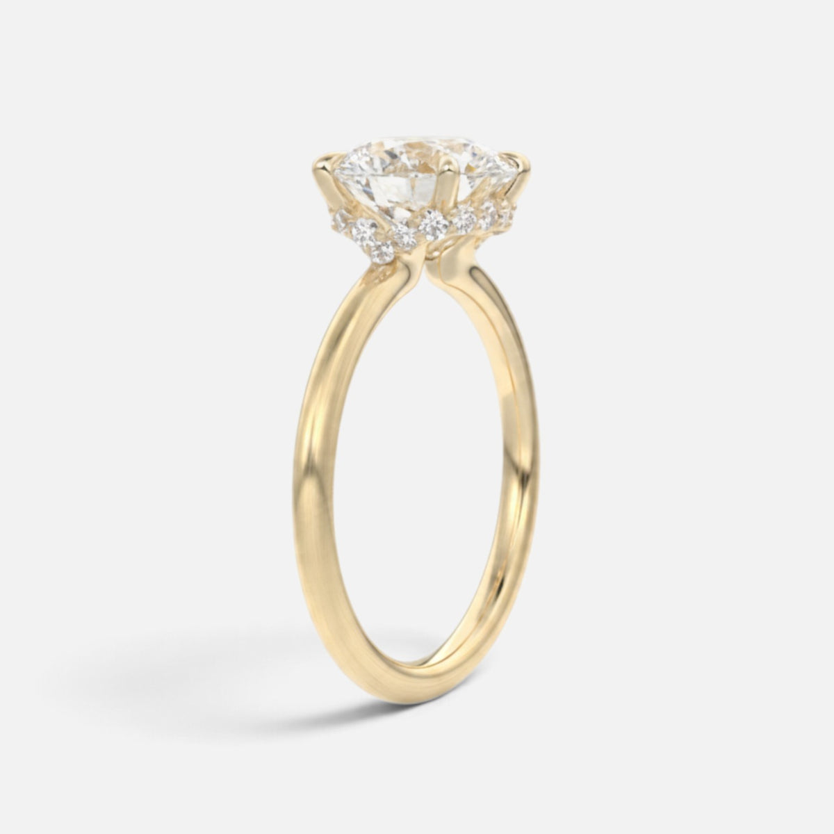The ROSALIE Ring