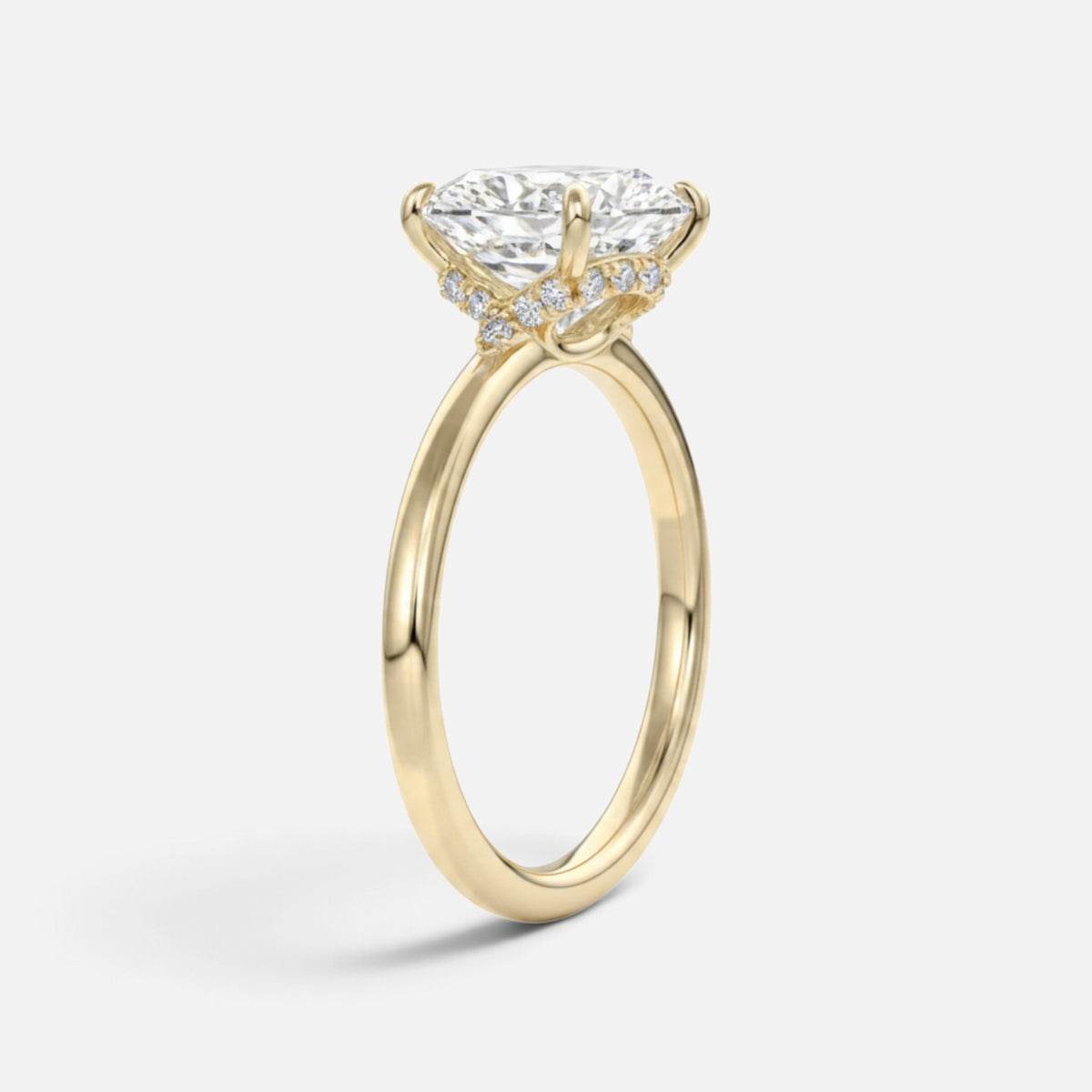 The ROSALIE Ring