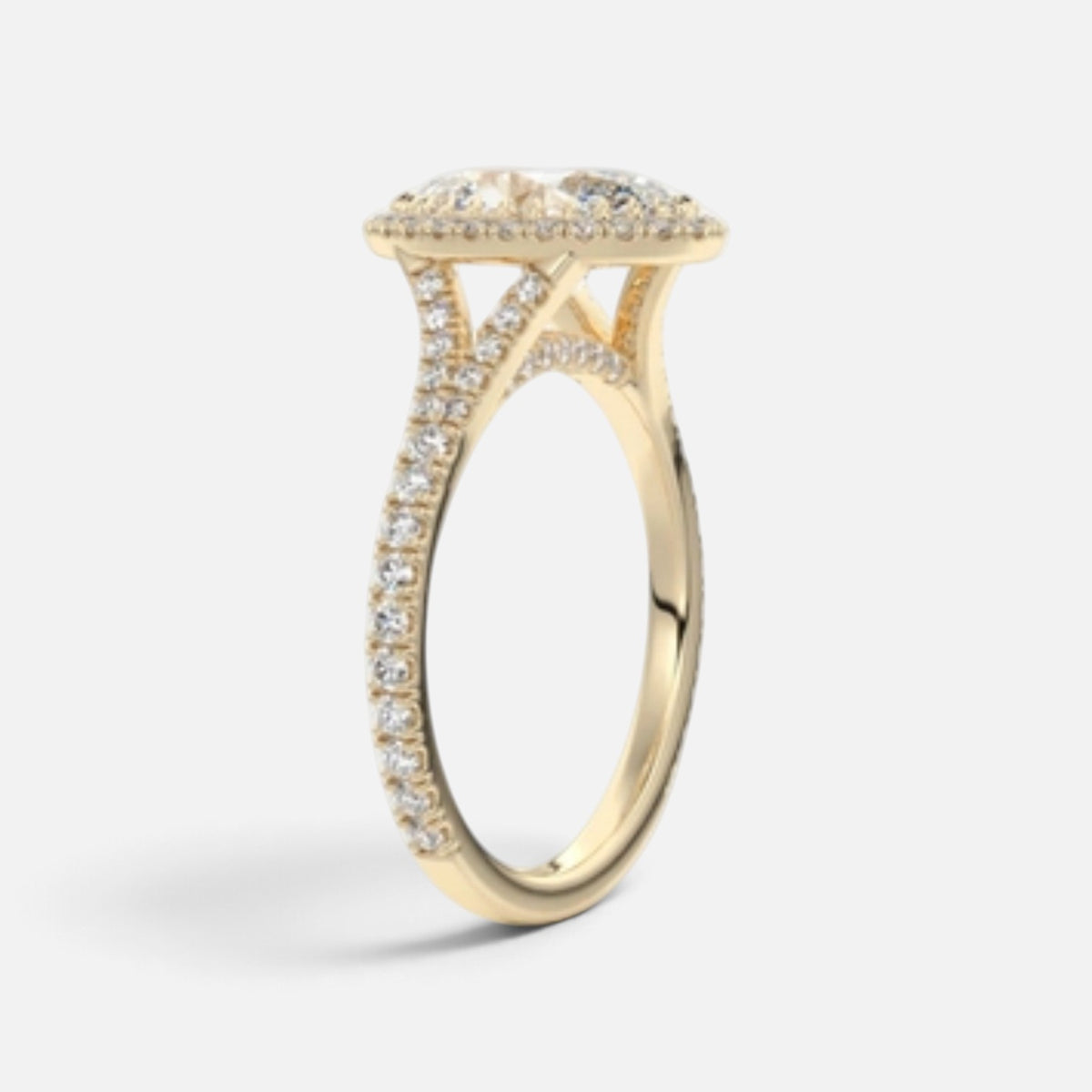 The ELMA Ring