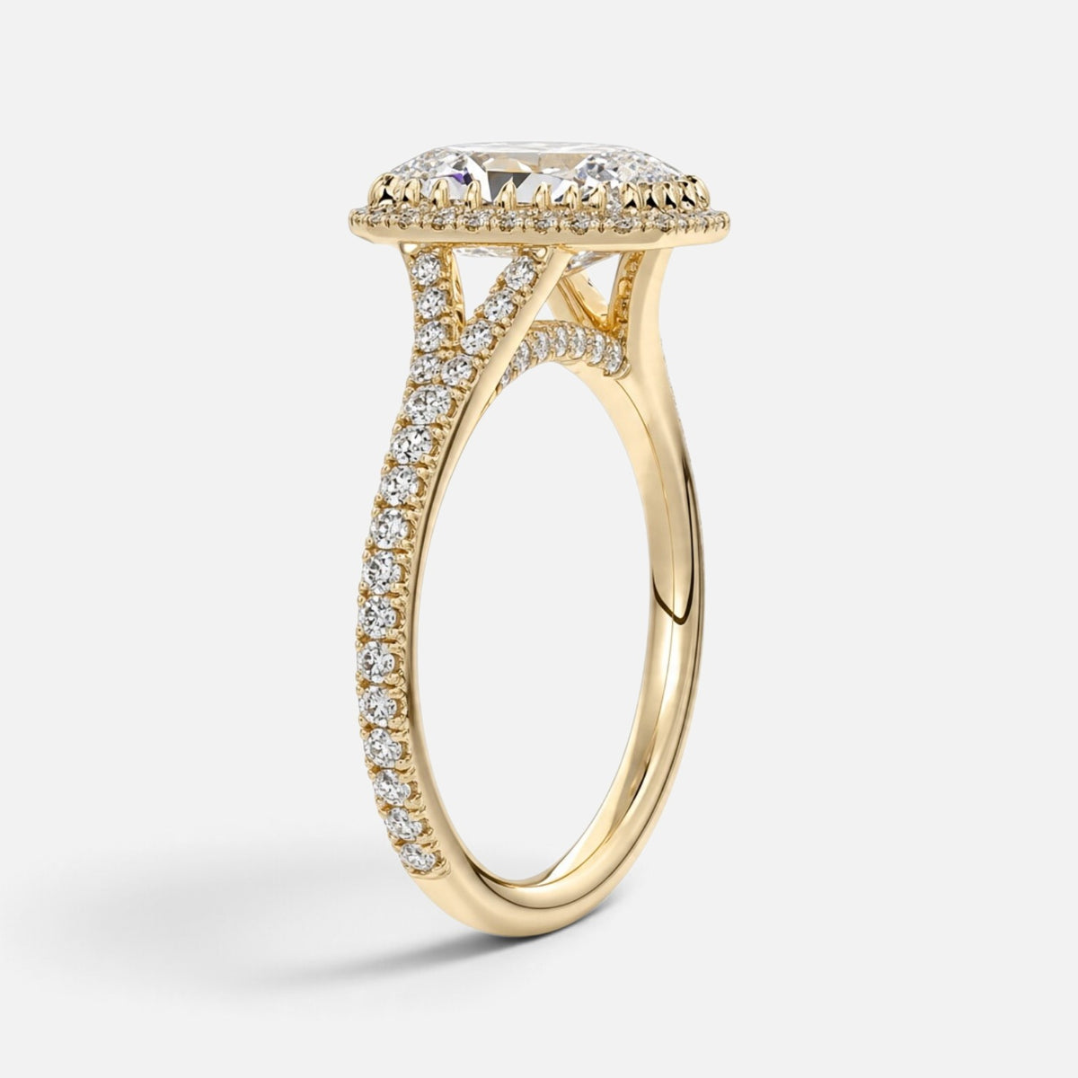 The ELMA Ring