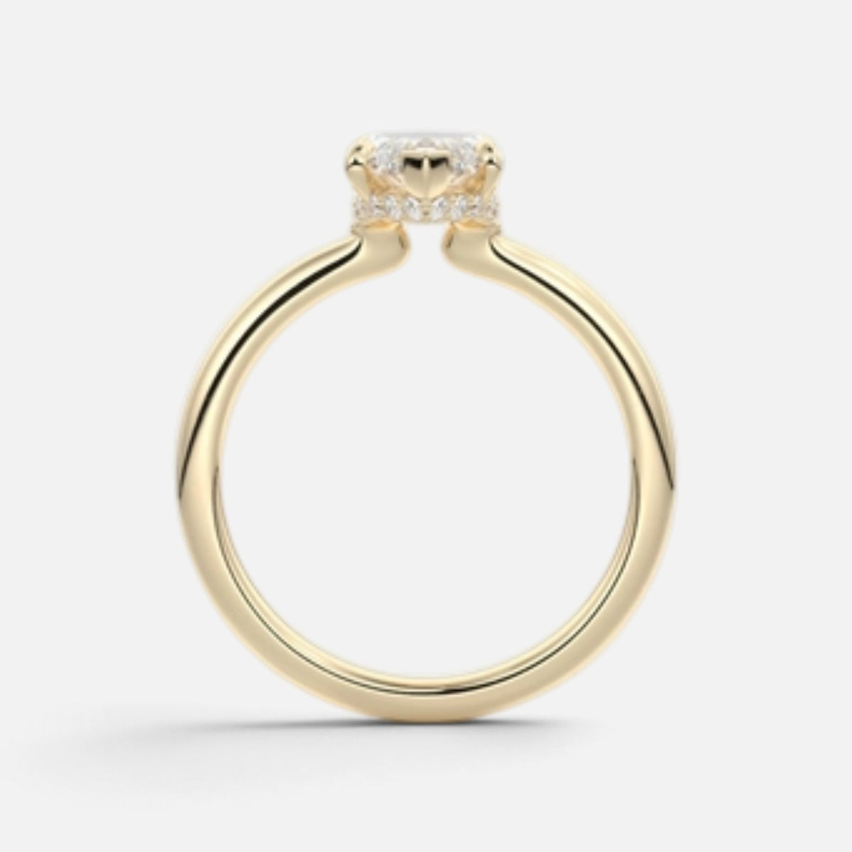 The ROSALIE Ring