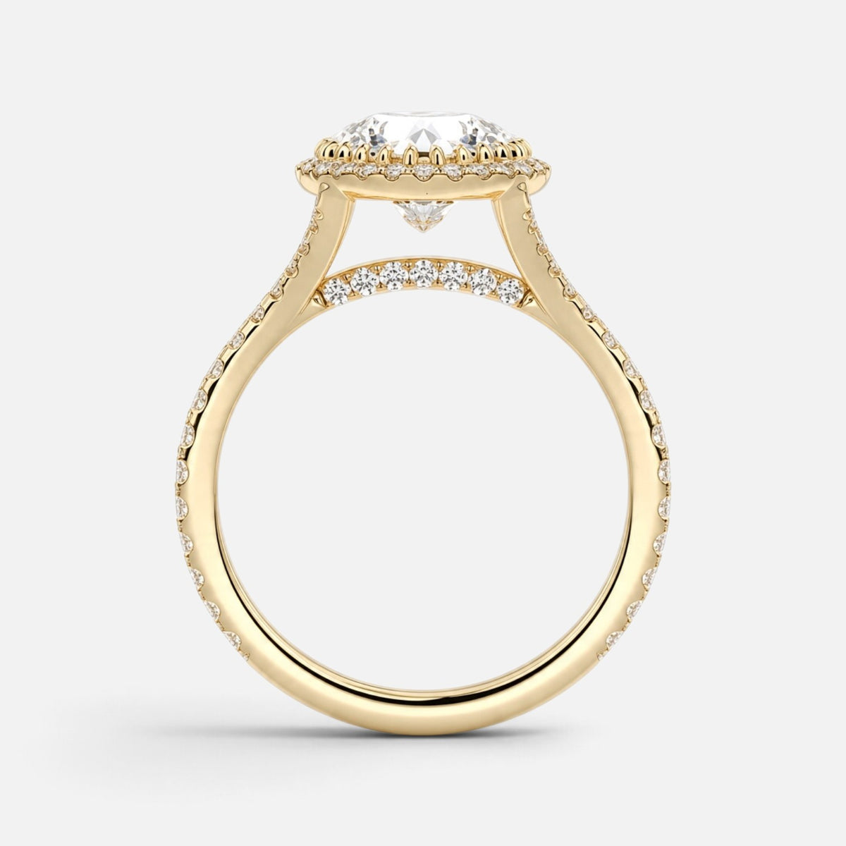 The ELMA Ring