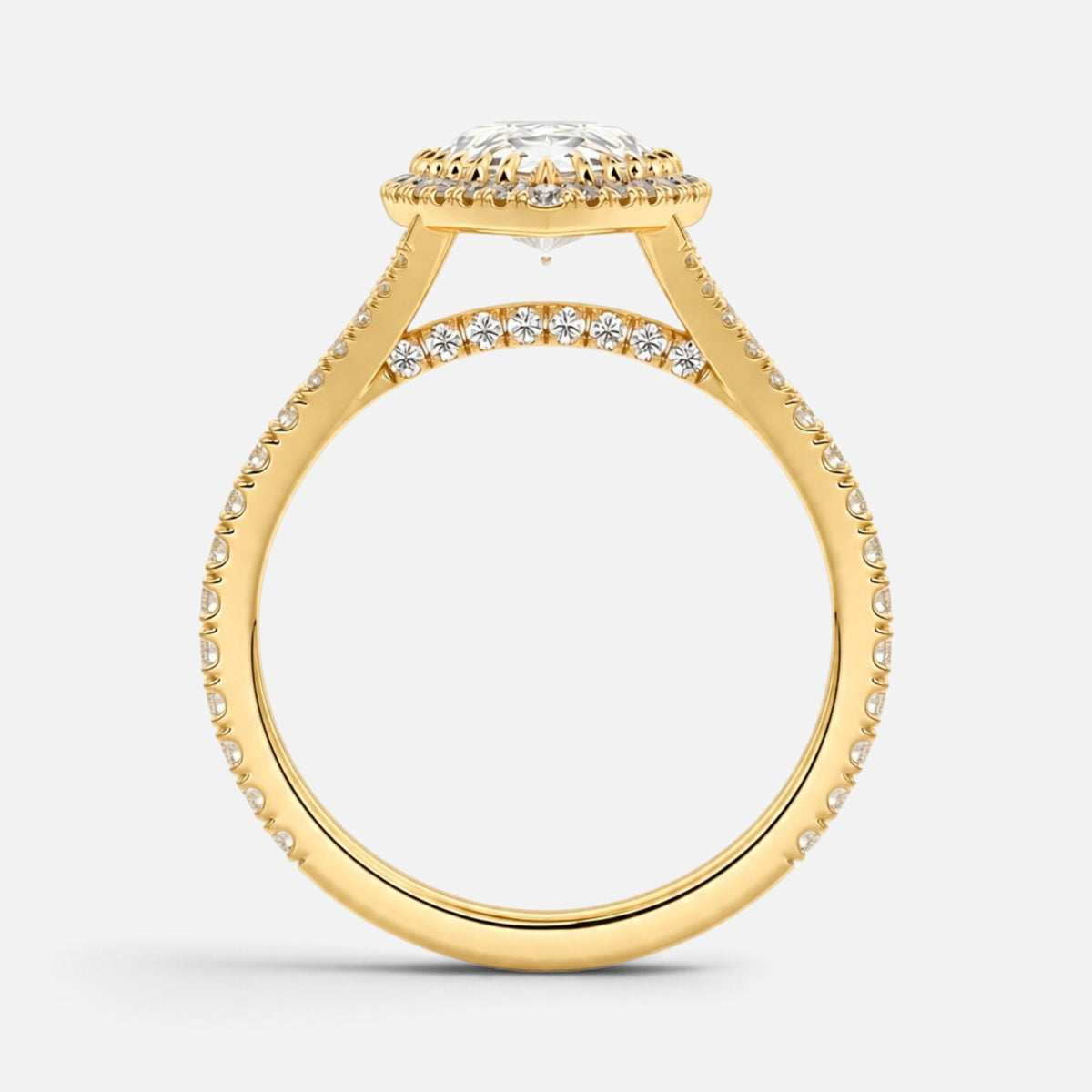The ELMA Ring