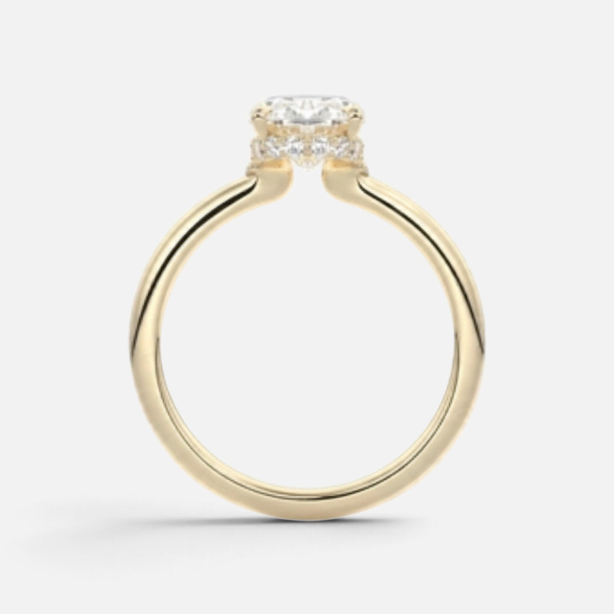 The ROSALIE Ring
