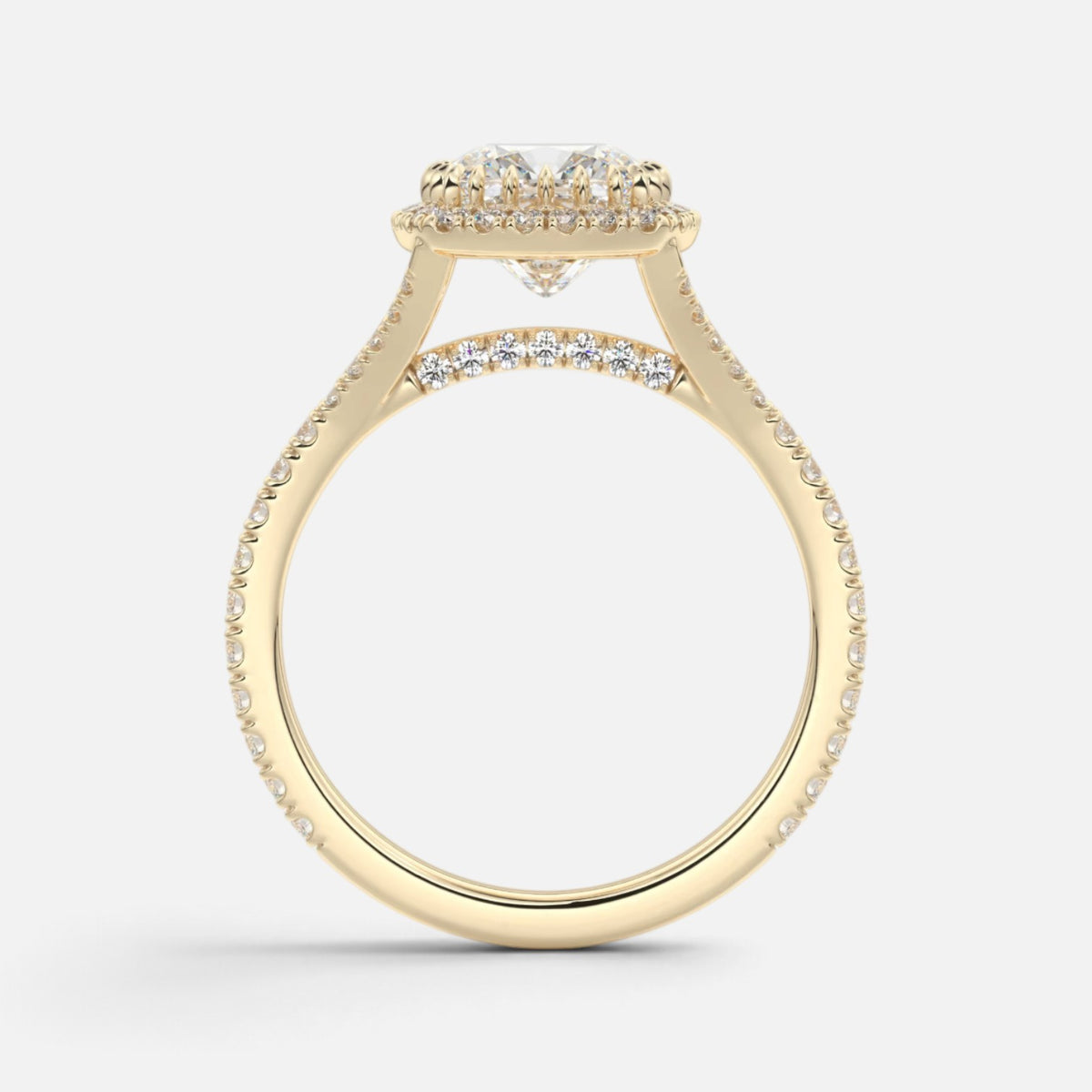 The ELMA Ring