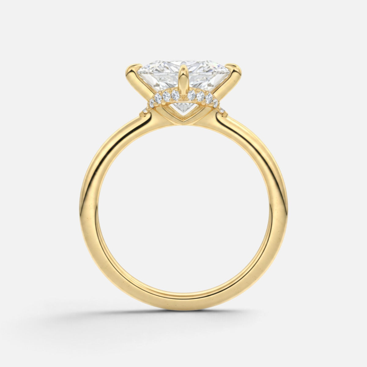 The ROSALIE Ring